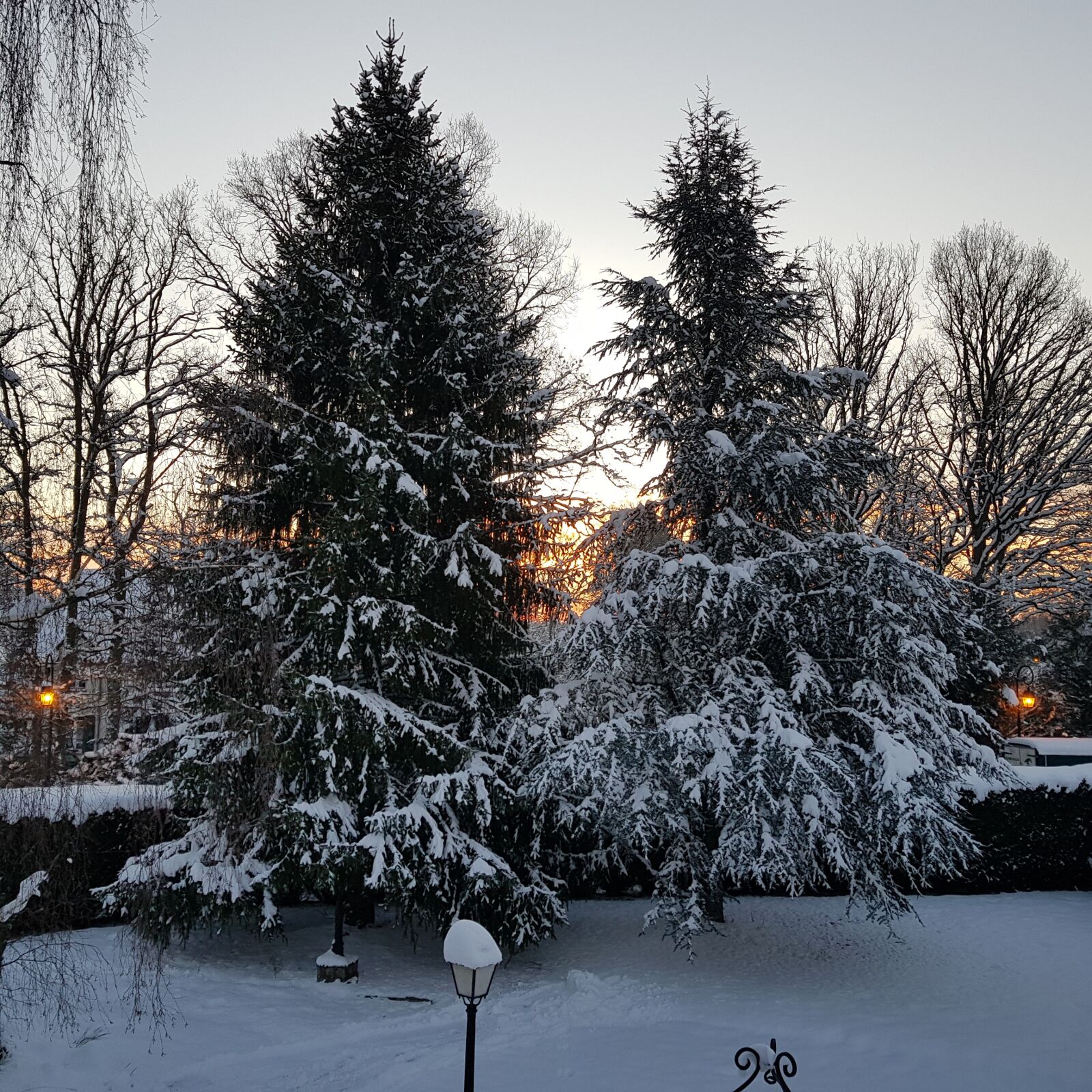 Samsung Galaxy S8+ sample photo. Winter, snow, cold photography