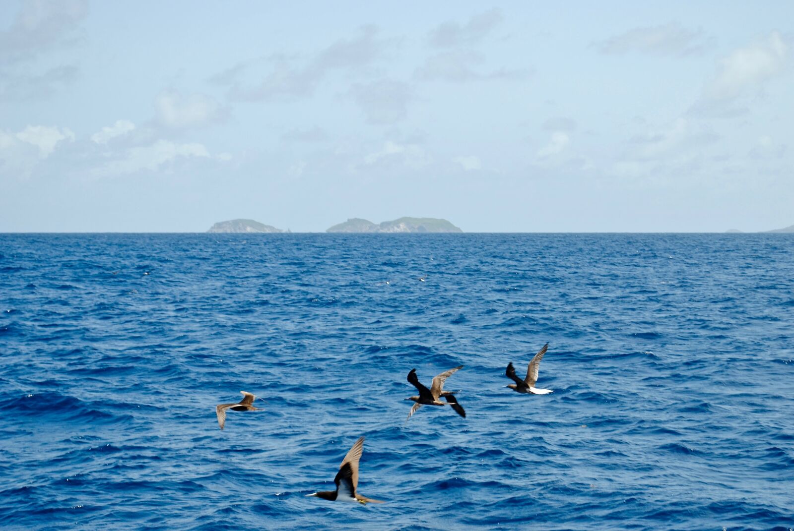 Nikon D3000 sample photo. Grenada, caribbean, island photography
