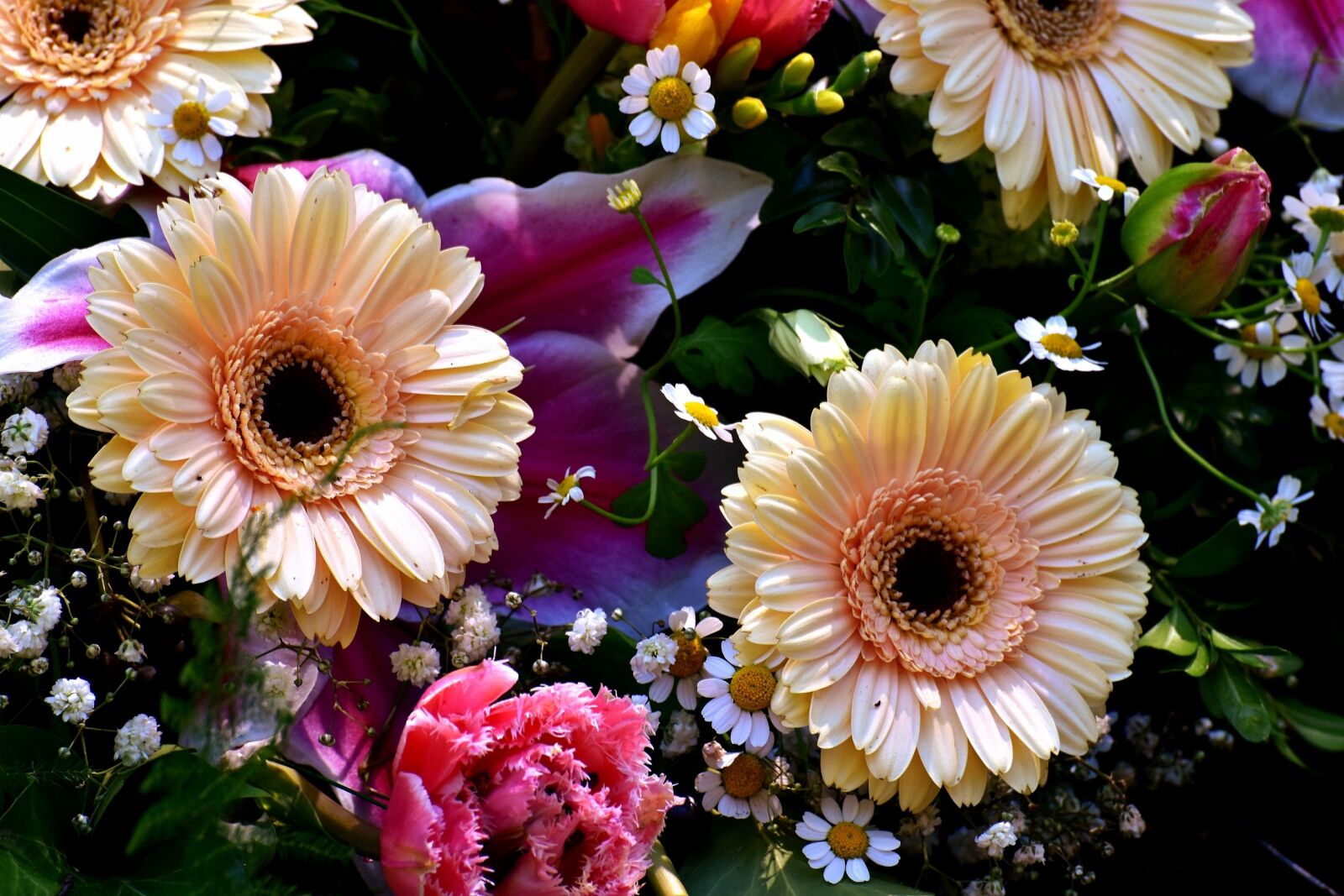 Nikon D7200 sample photo. Flowers, spring, nature photography
