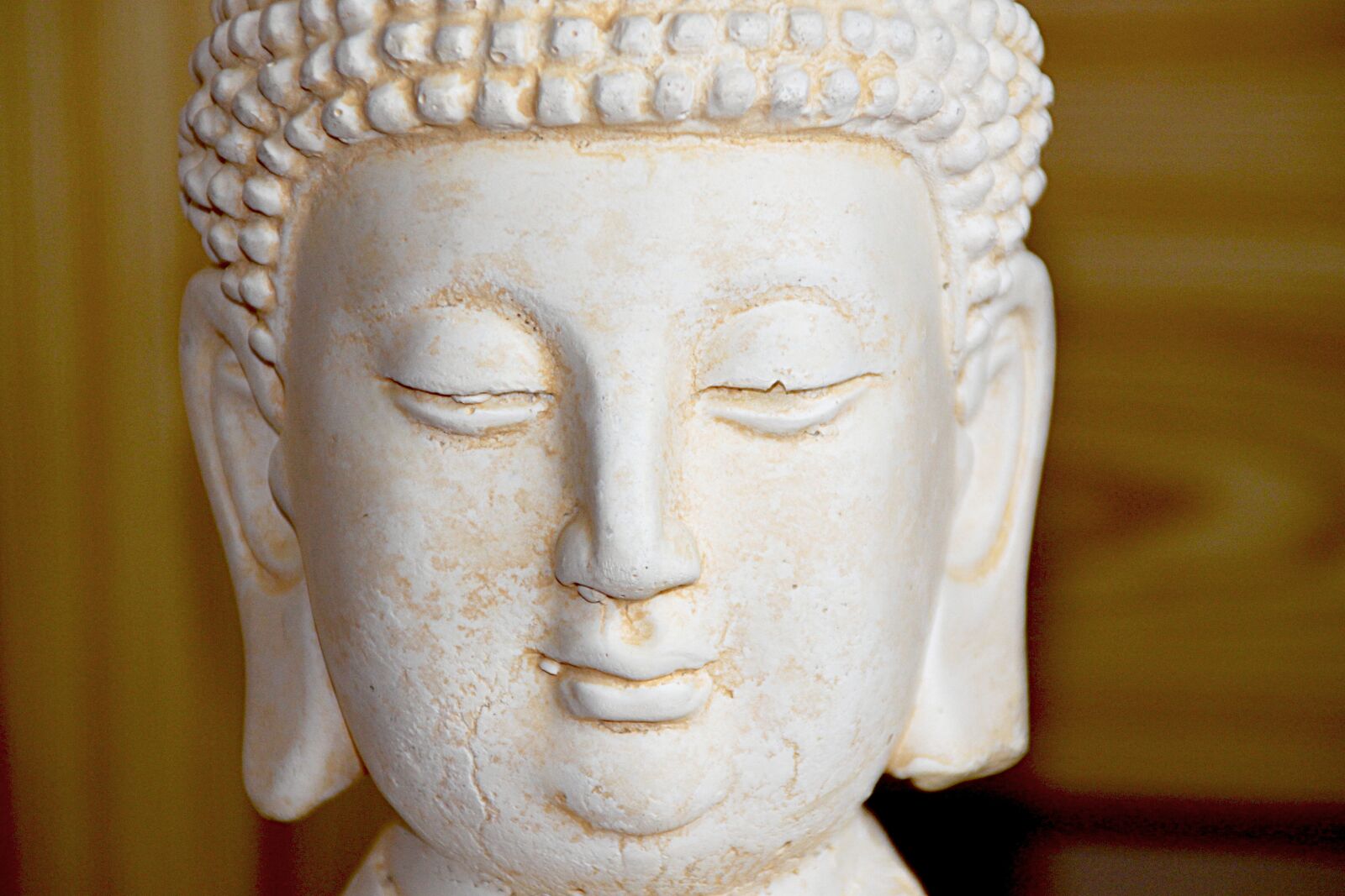 Canon EOS 500D (EOS Rebel T1i / EOS Kiss X3) sample photo. Buddha, zen, buddhism photography