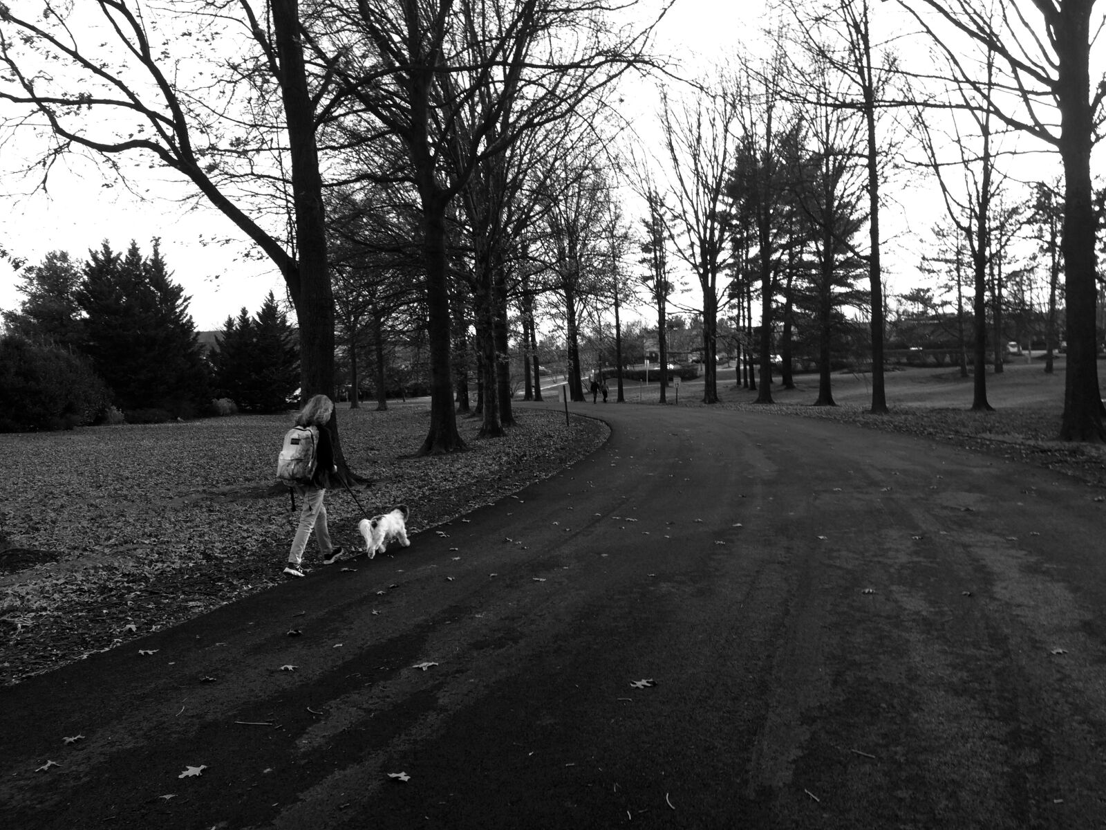 iPhone 5s back camera 4.15mm f/2.2 sample photo. Backpack, black, black, and photography