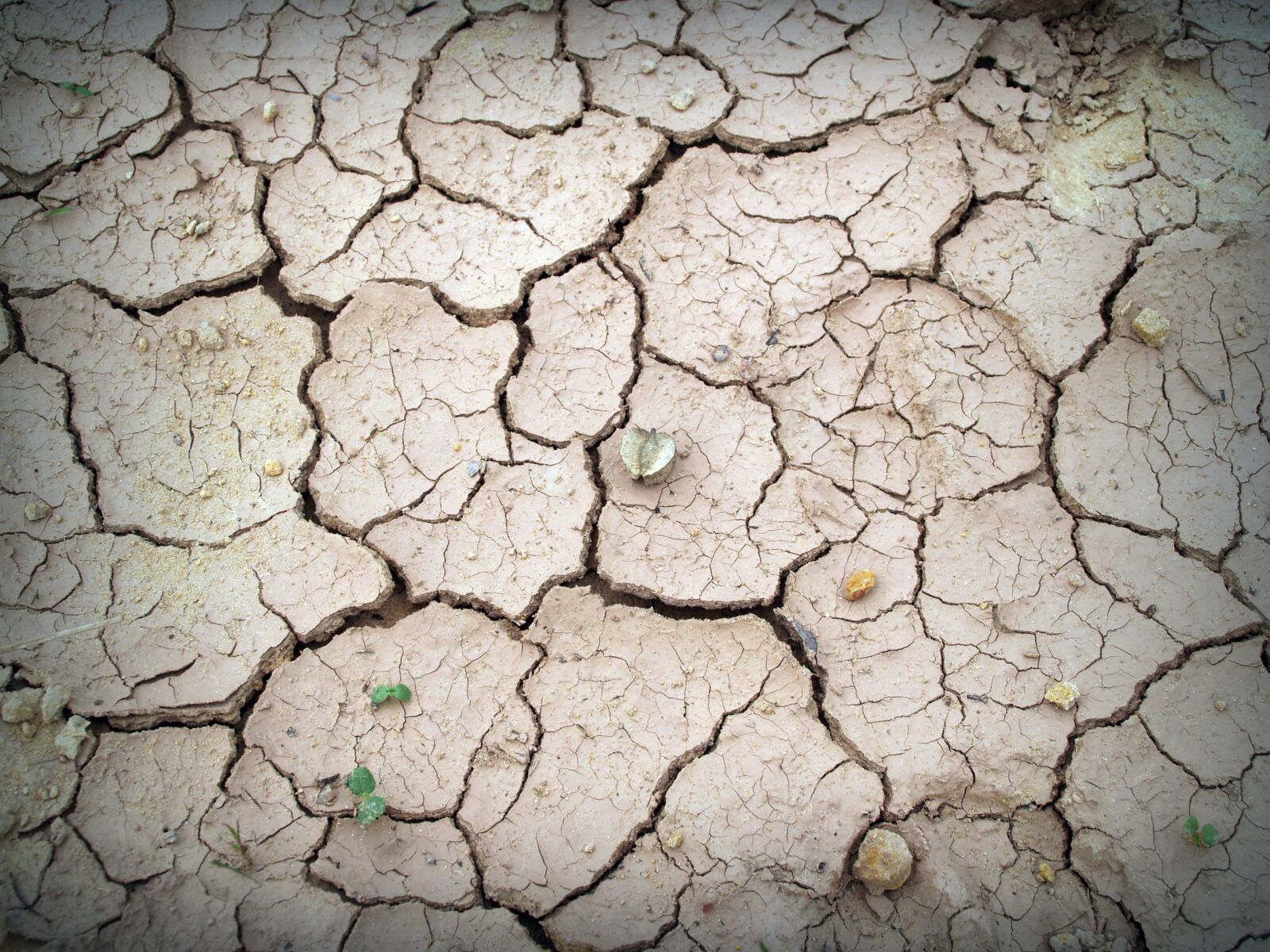 Olympus E-300 (EVOLT E-300) sample photo. Soil, rough, earth photography