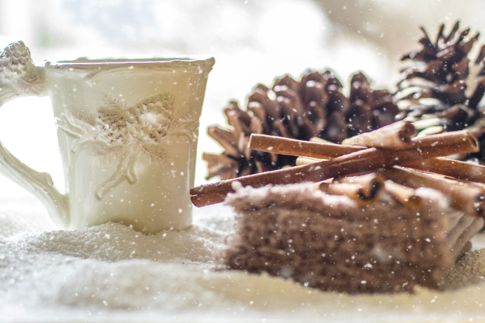 Canon EF 50mm F1.4 USM sample photo. Pine cones, snow, winter photography