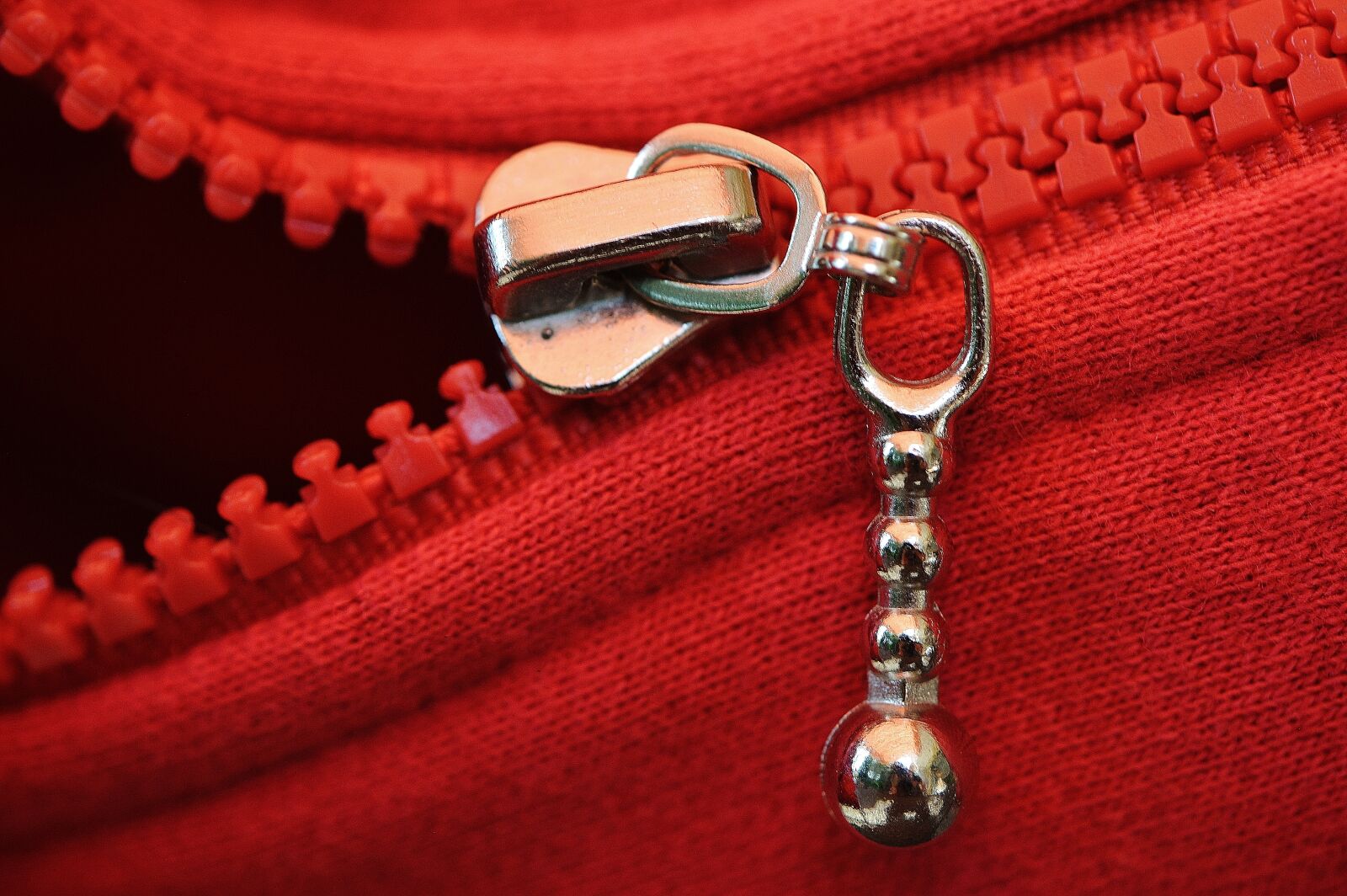 Nikon D3200 sample photo. Zip, red, coarse photography