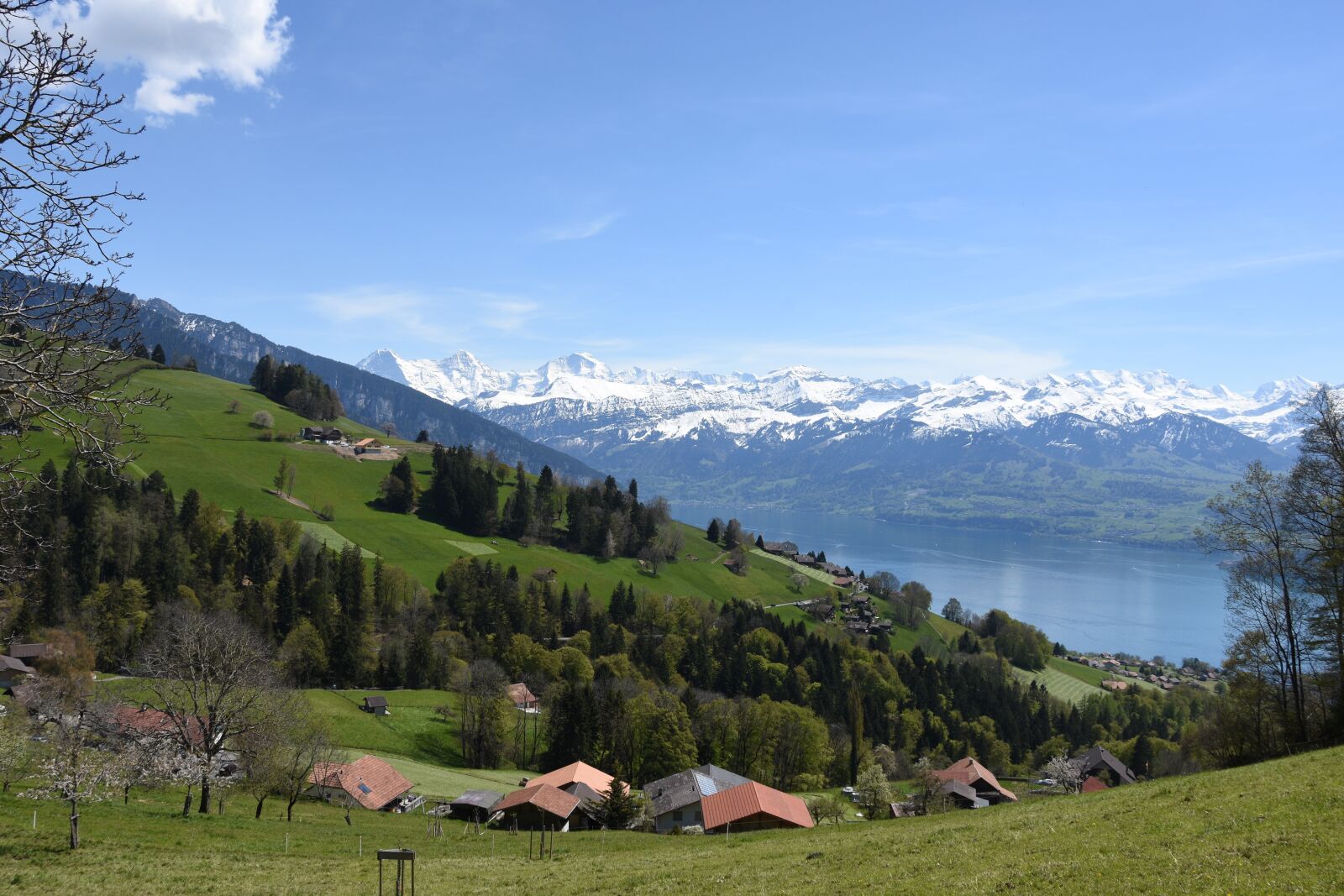 Nikon D7200 sample photo. Lake thun, mountains, switzerland photography
