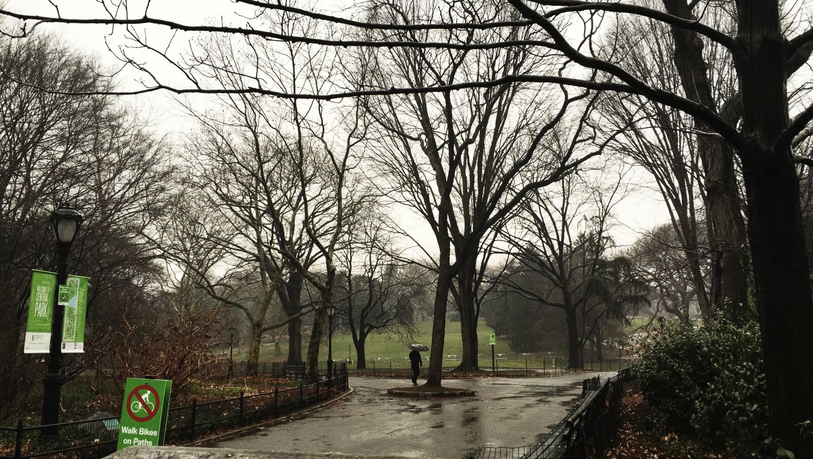 iPhone 6 back camera 4.15mm f/2.2 sample photo. New, york, city photography