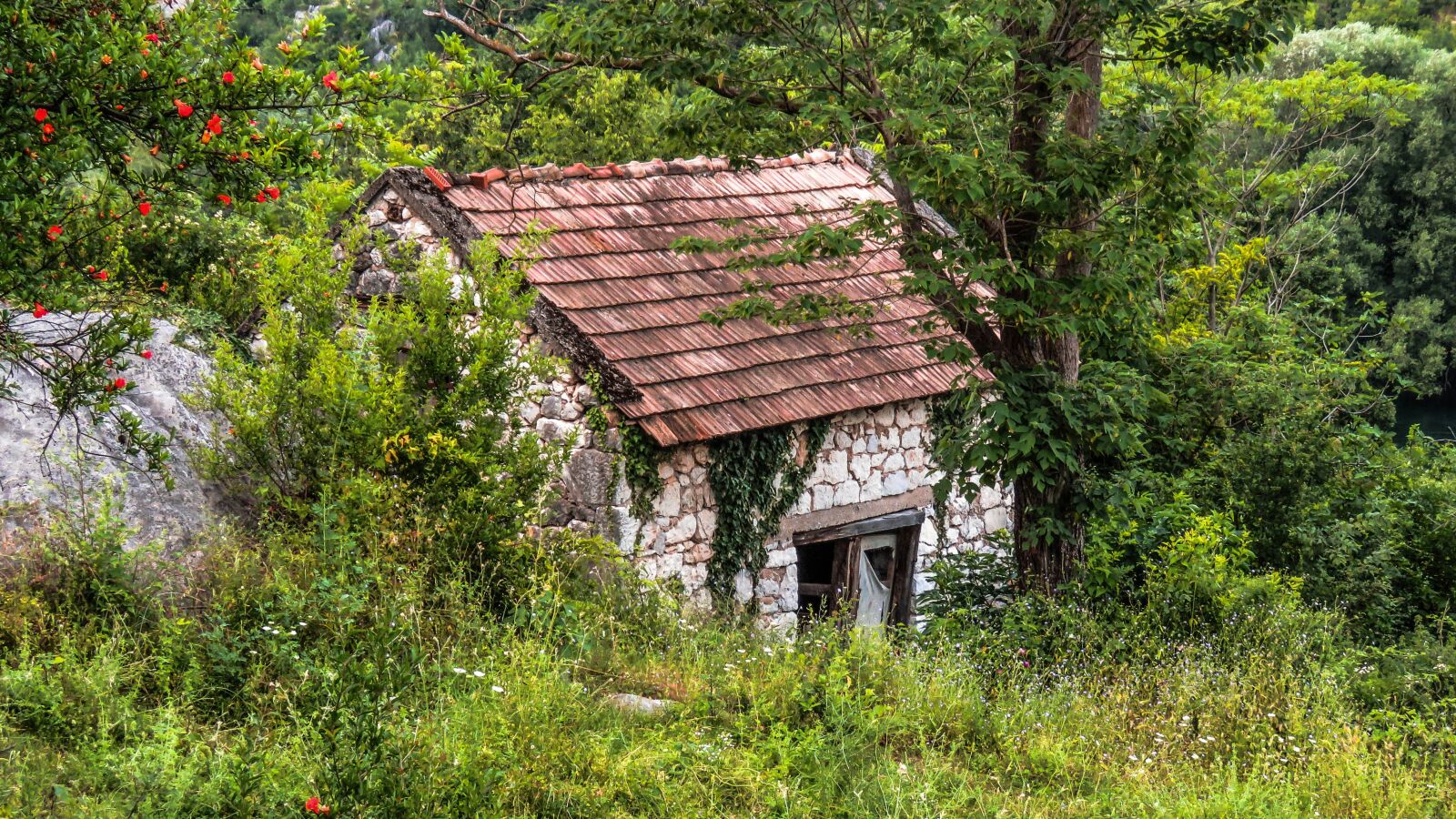 Canon PowerShot SX60 HS sample photo. House, outdoor, old nature photography