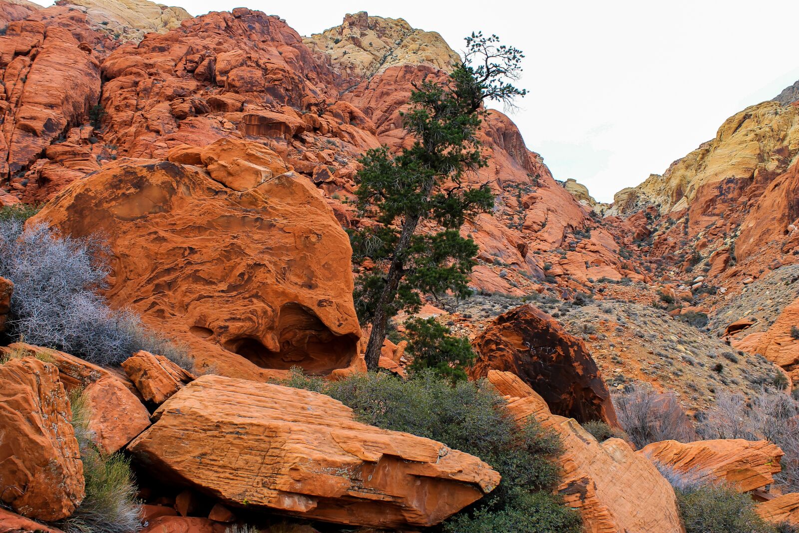 Canon EOS 1100D (EOS Rebel T3 / EOS Kiss X50) sample photo. Utah, red rocks, red photography