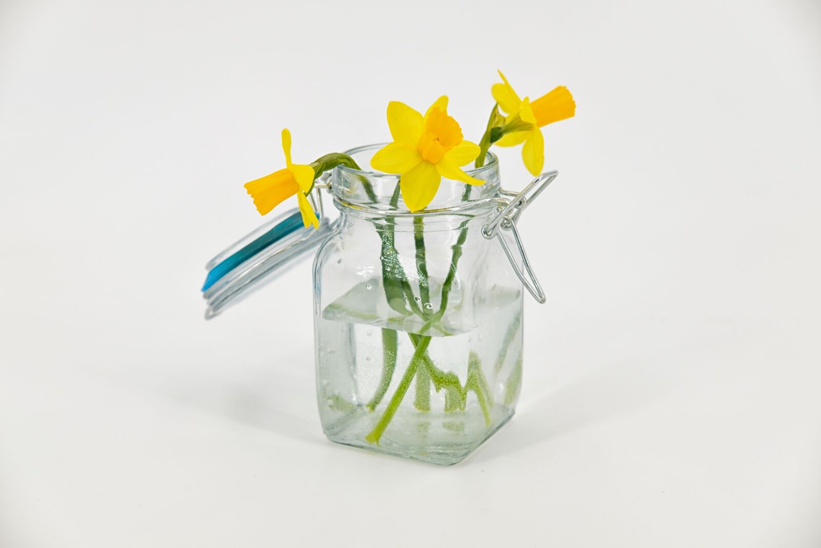 Fujifilm X-T2 + Fujifilm XF 35mm F2 R WR sample photo. Daffodils, osterglocken, amaryllidoideae photography