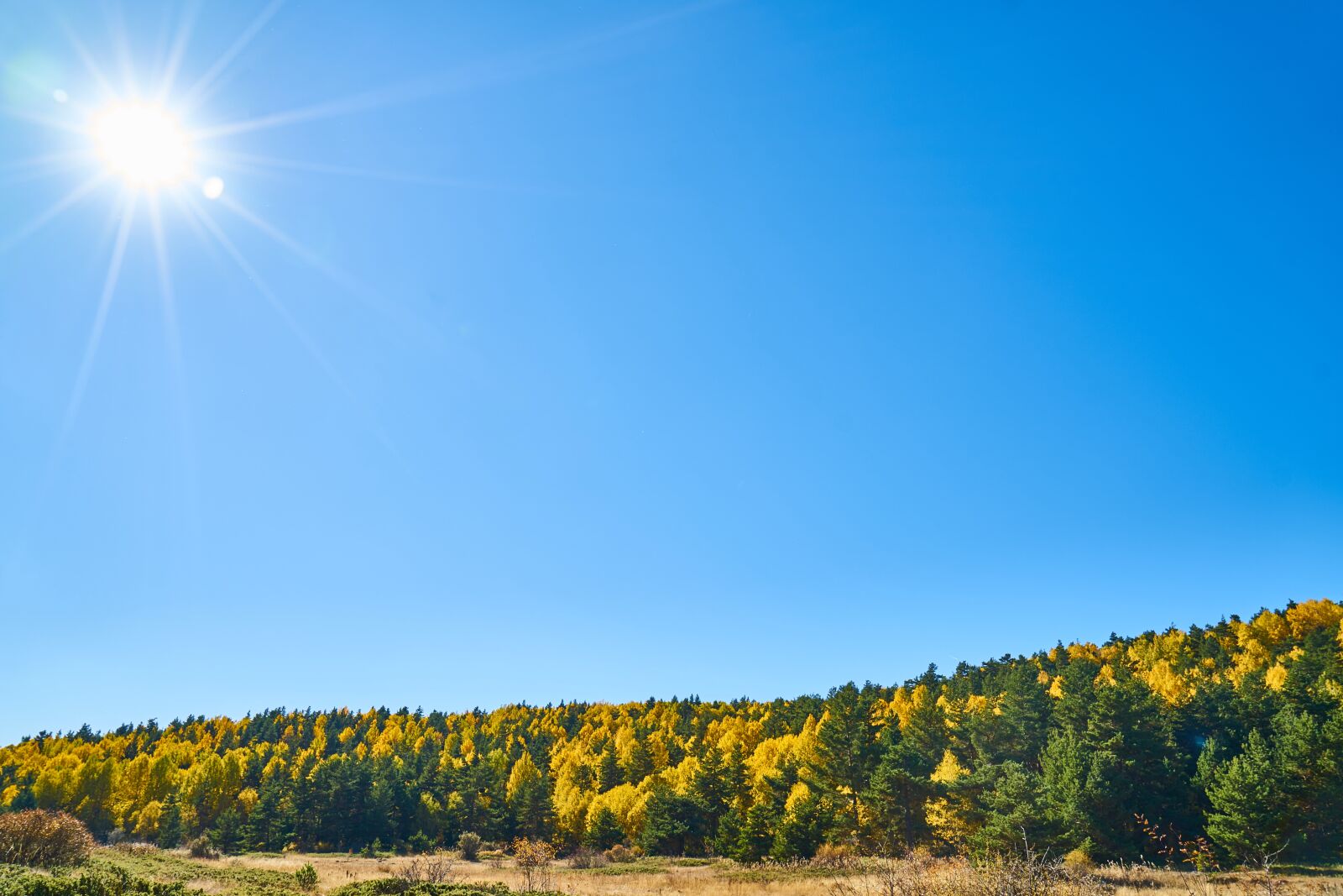 Sony a7R II sample photo. Autumn, season, landscape photography