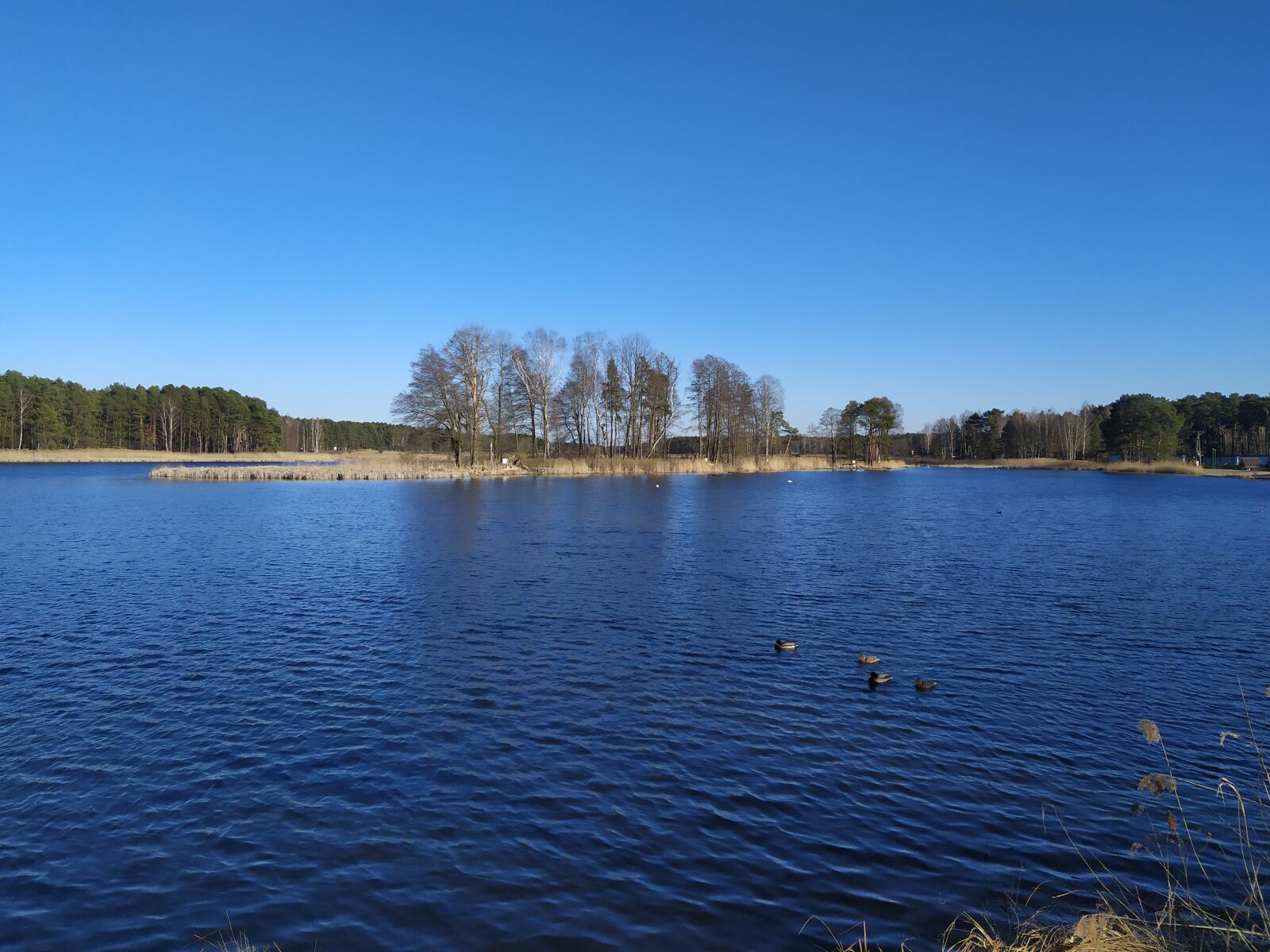 Xiaomi Redmi Note 7 sample photo. Lake, view, landscape photography