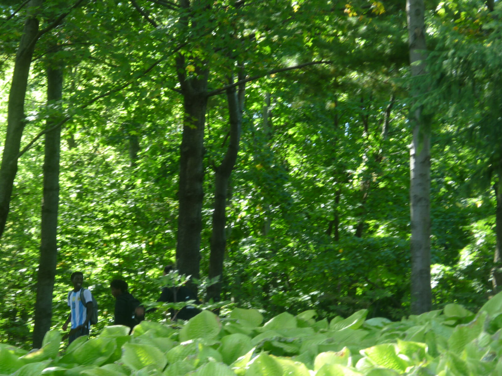 Panasonic DMC-ZR1 sample photo