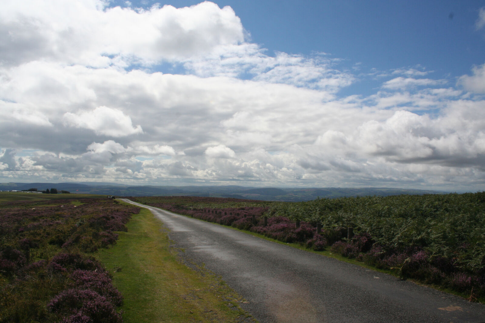 Canon EOS 350D (EOS Digital Rebel XT / EOS Kiss Digital N) sample photo. Country, lane, heather, hills photography