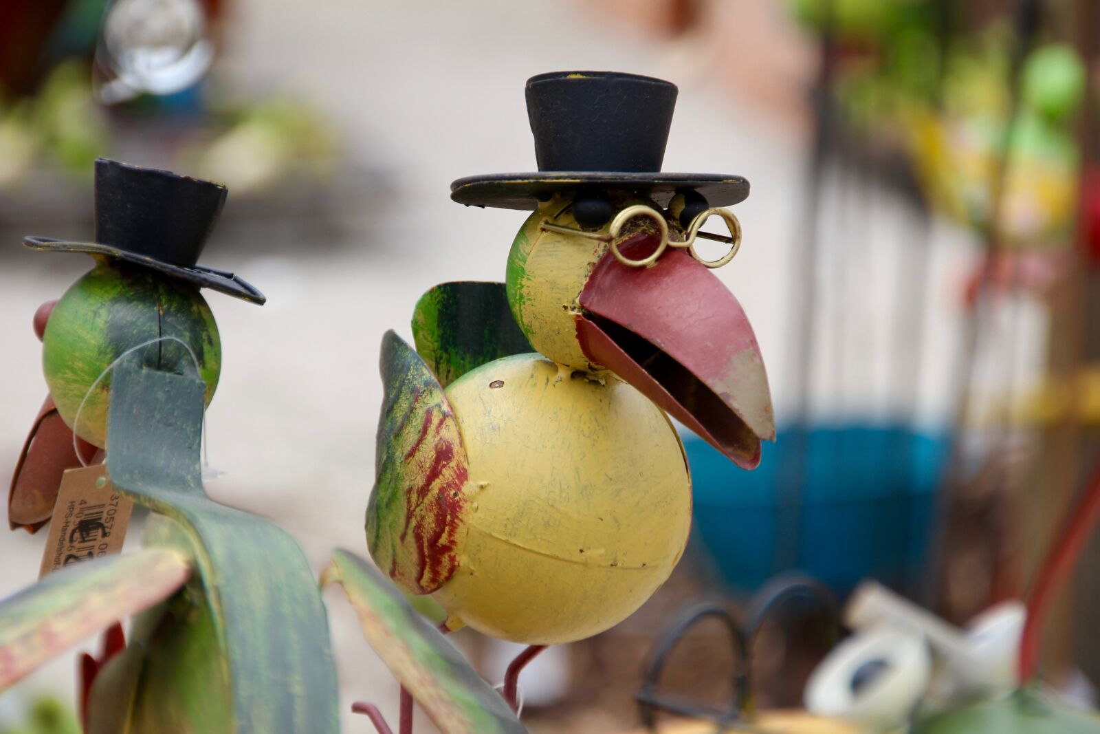 Canon EOS 60D sample photo. Bird, glasses, artwork photography