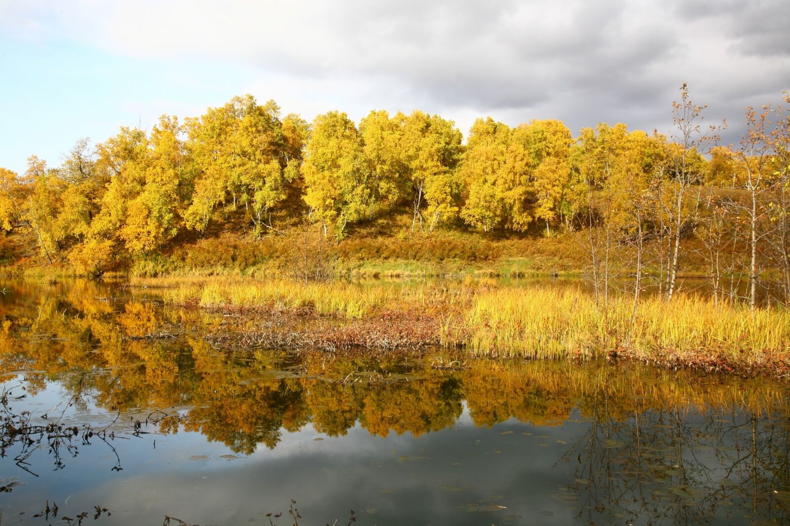 Canon EOS 5D sample photo. Autumn, forest, lake photography