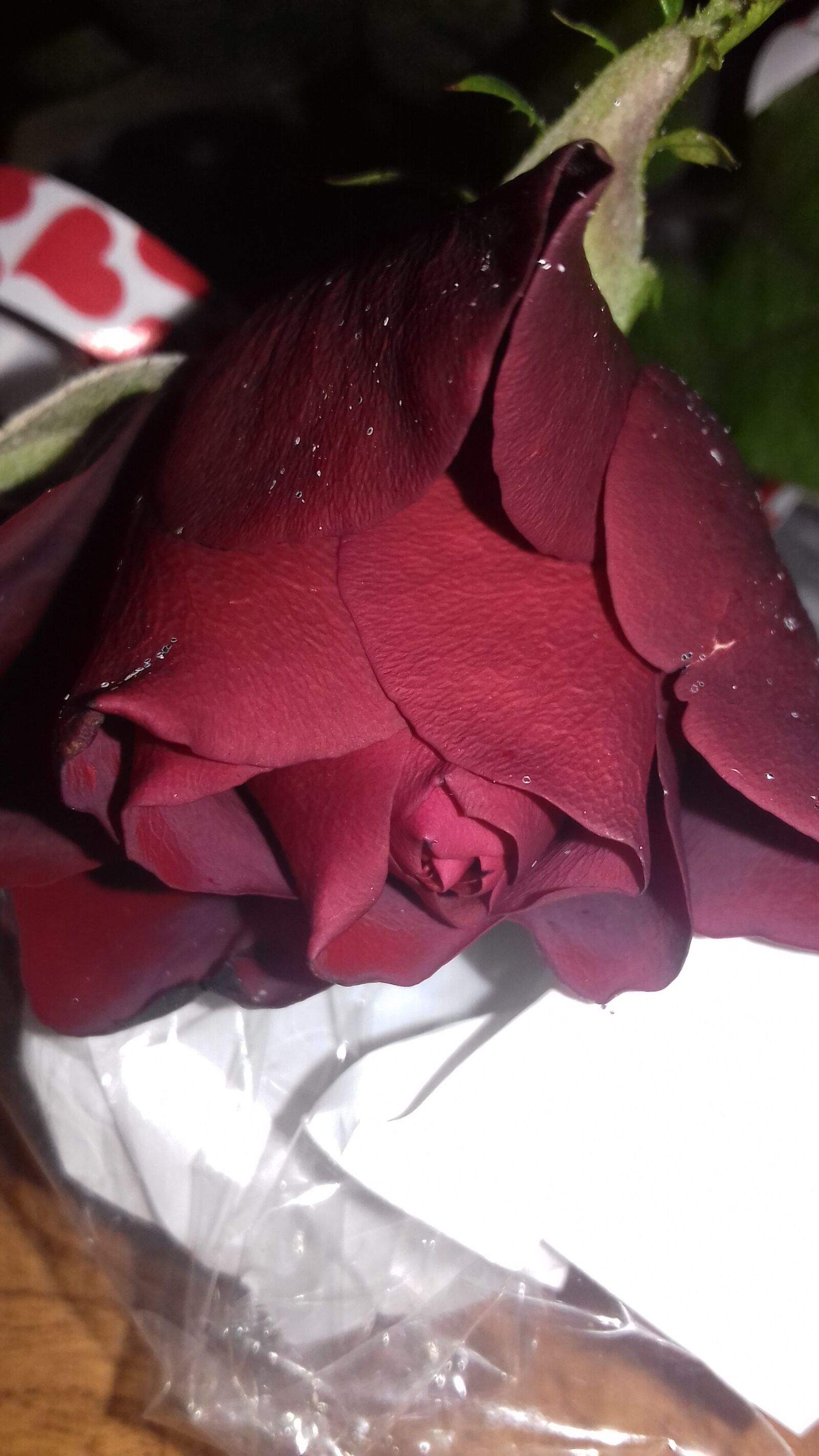 Samsung Galaxy Grand Prime sample photo. A pink, juri, rose photography