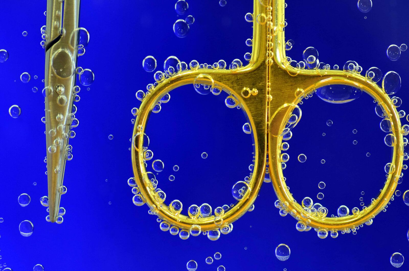 Nikon D3300 sample photo. Scissors, gold, liquid, water photography
