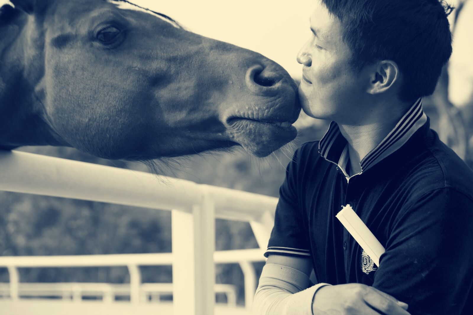 Canon EF 70-300mm F4-5.6 IS USM sample photo. Horse, riding, equestrian photography