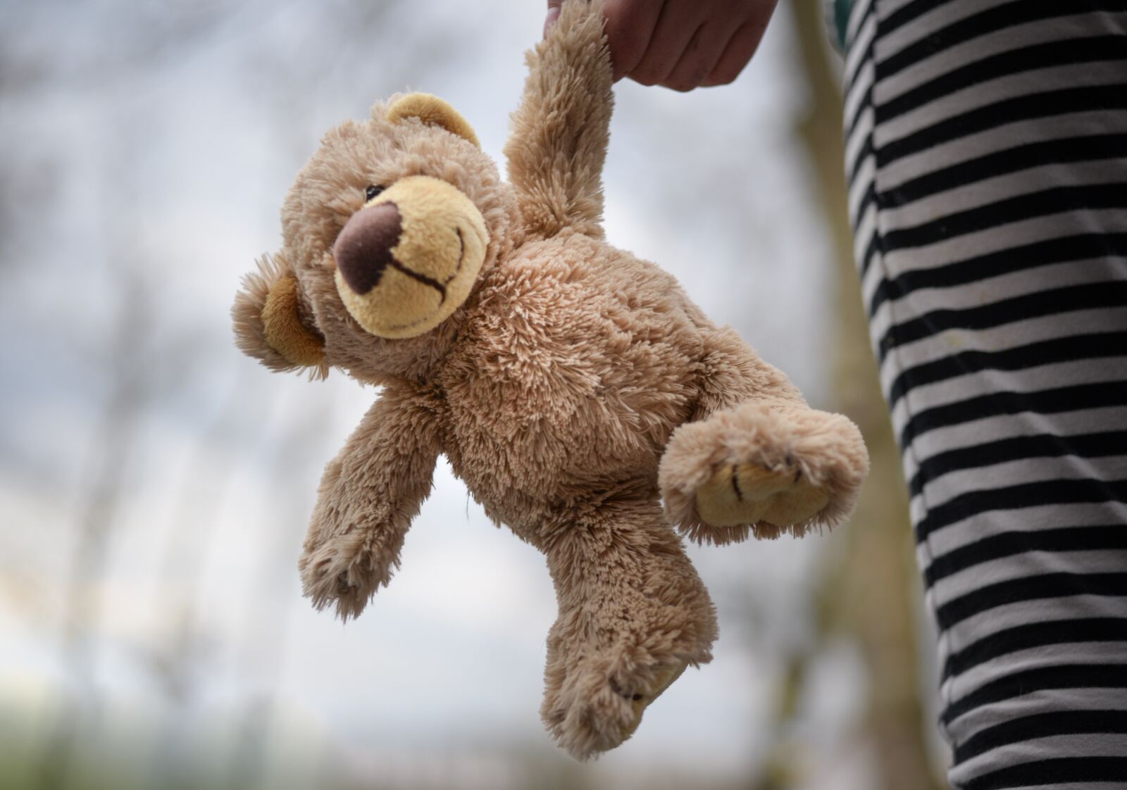 Nikon D610 sample photo. Stuffed bear, teddy, child photography