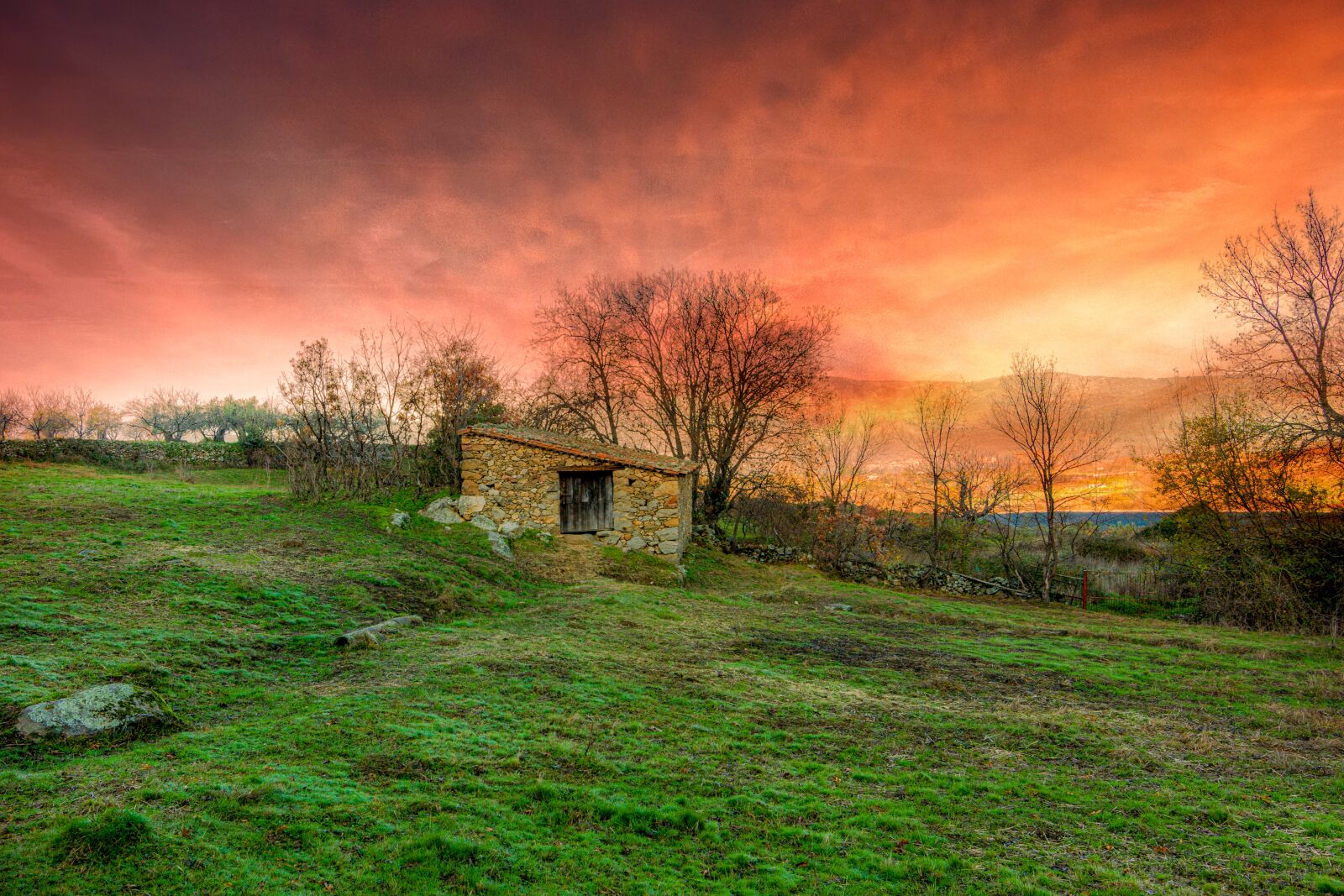 Nikon D7100 sample photo. Sky, nature, landscape photography