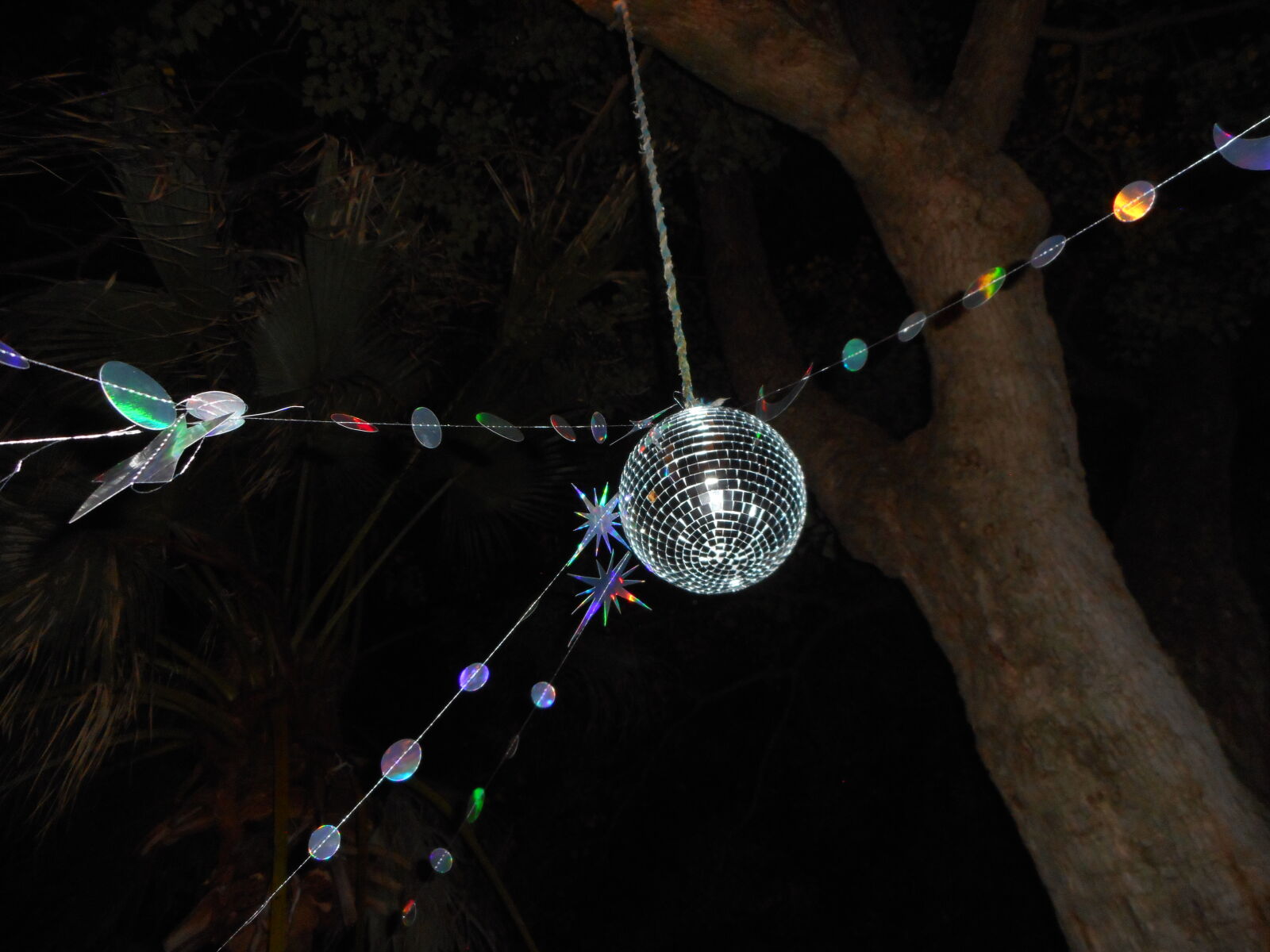 Nikon Coolpix S3600 sample photo. Disco photography