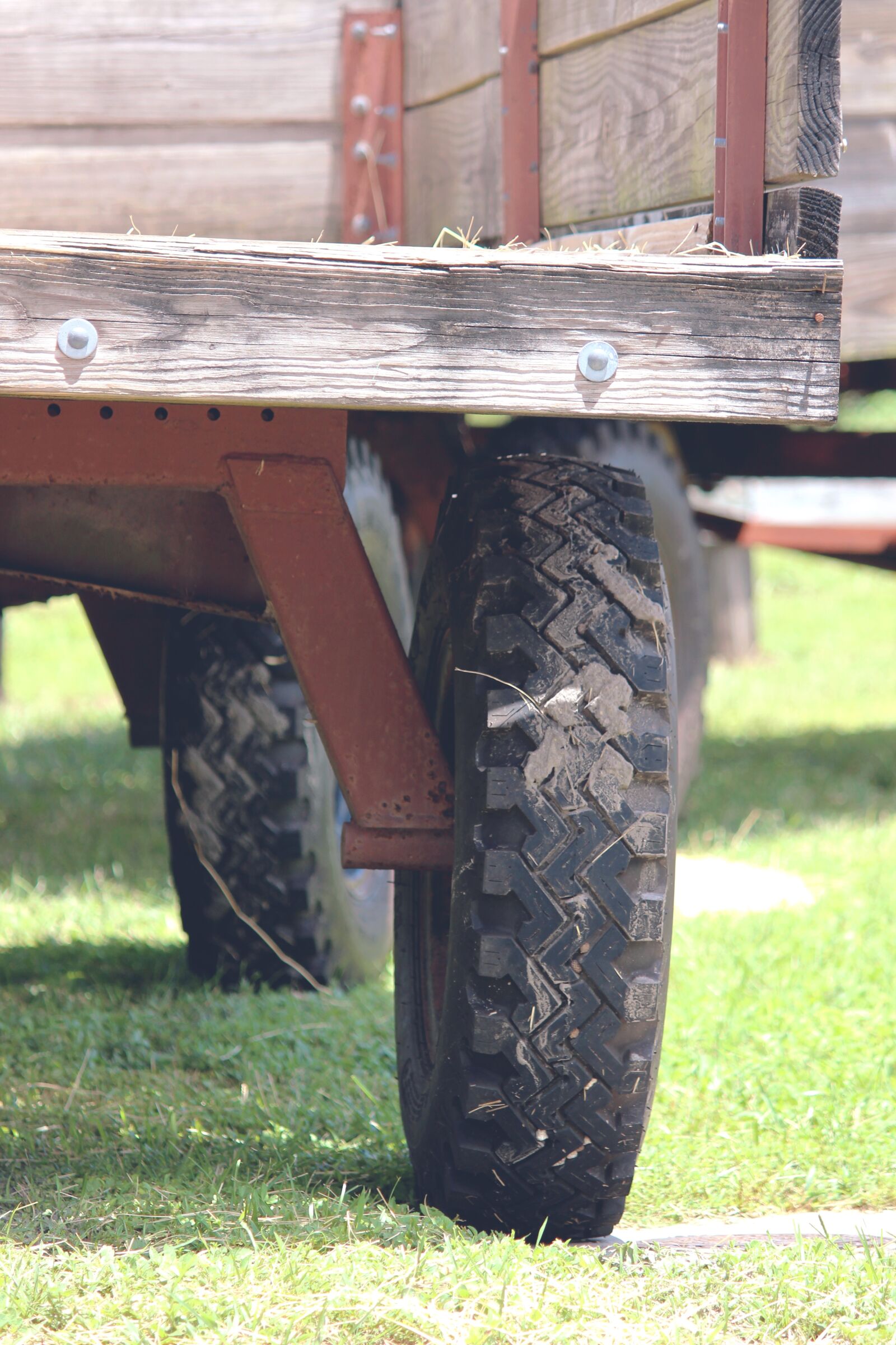 Canon EOS 600D (Rebel EOS T3i / EOS Kiss X5) sample photo. Farm, rural, agriculture photography