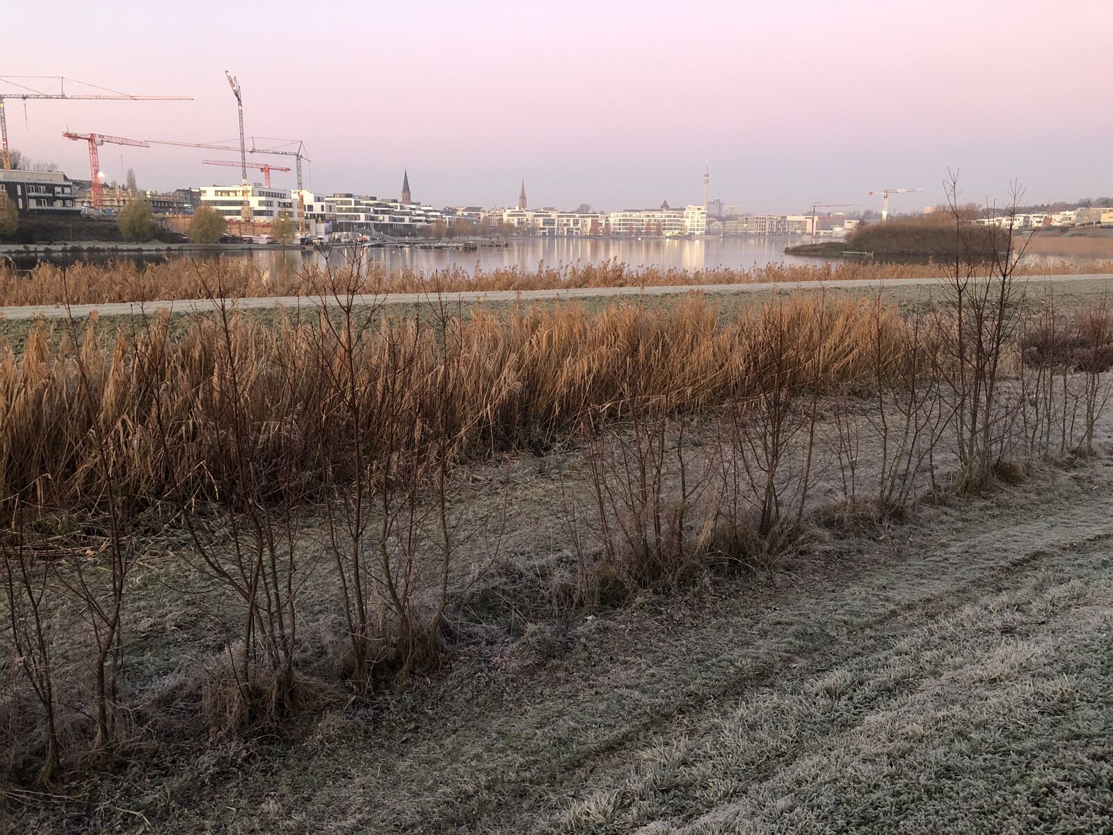 Apple iPhone 8 Plus sample photo. Phoenix lake, dortmund, winter photography