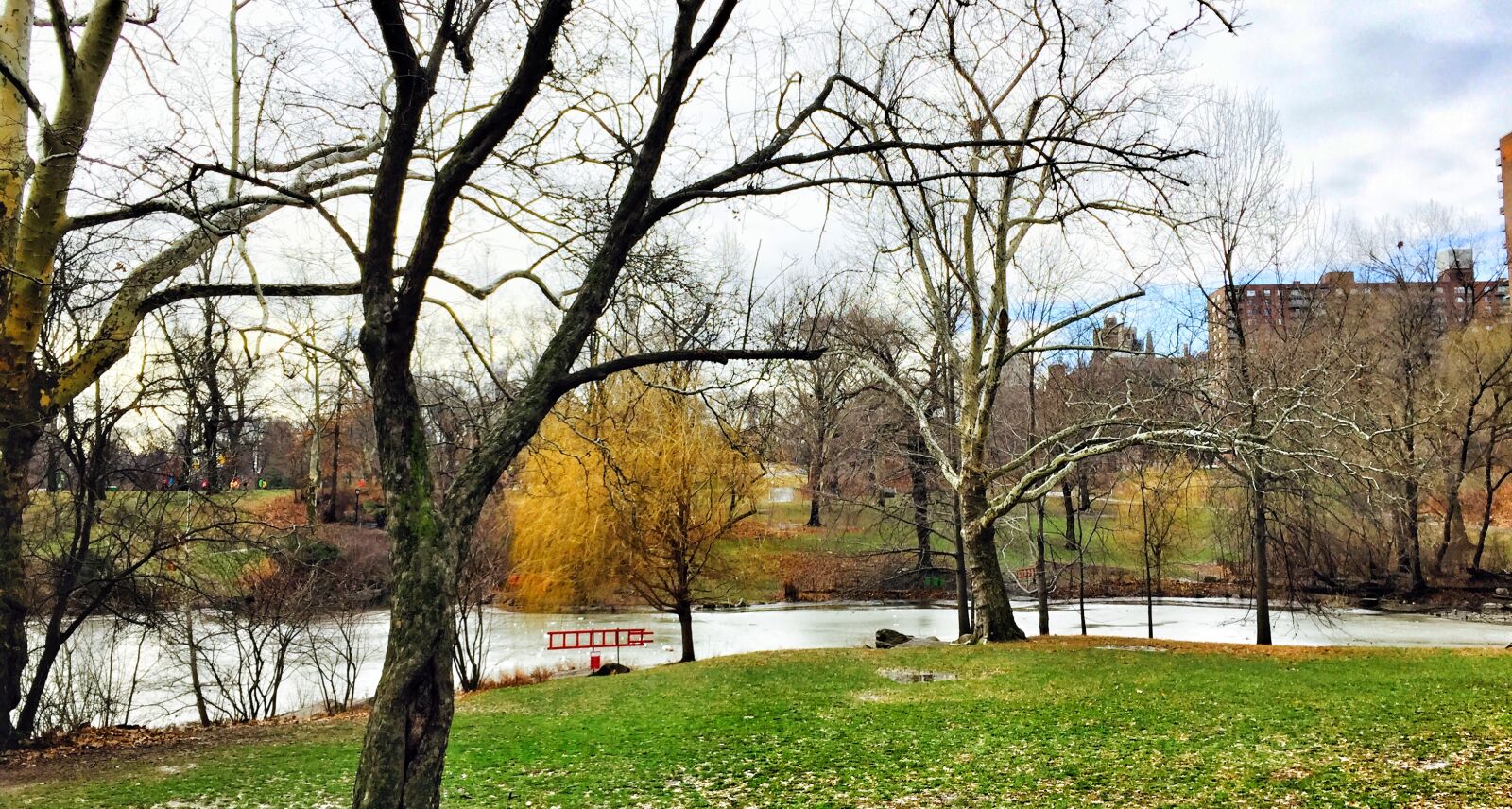 iPhone 6 back camera 4.15mm f/2.2 sample photo. Central, park, new, york photography