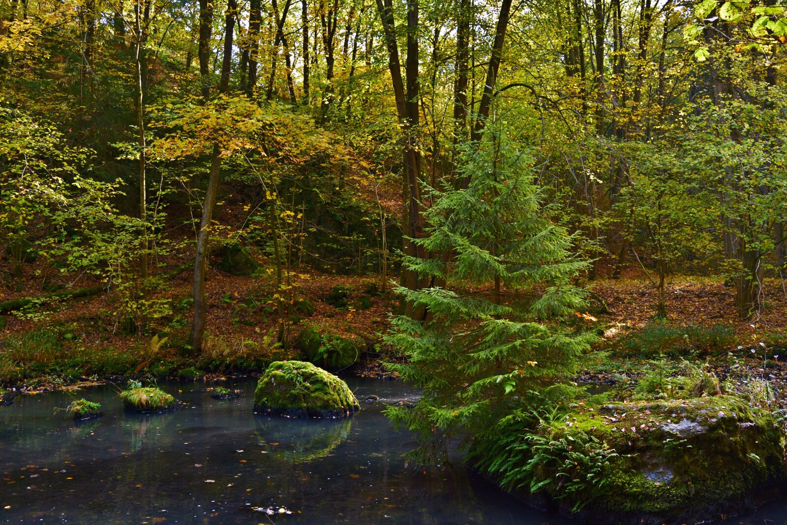 Nikon D5200 sample photo. Landscape, bach, nature photography