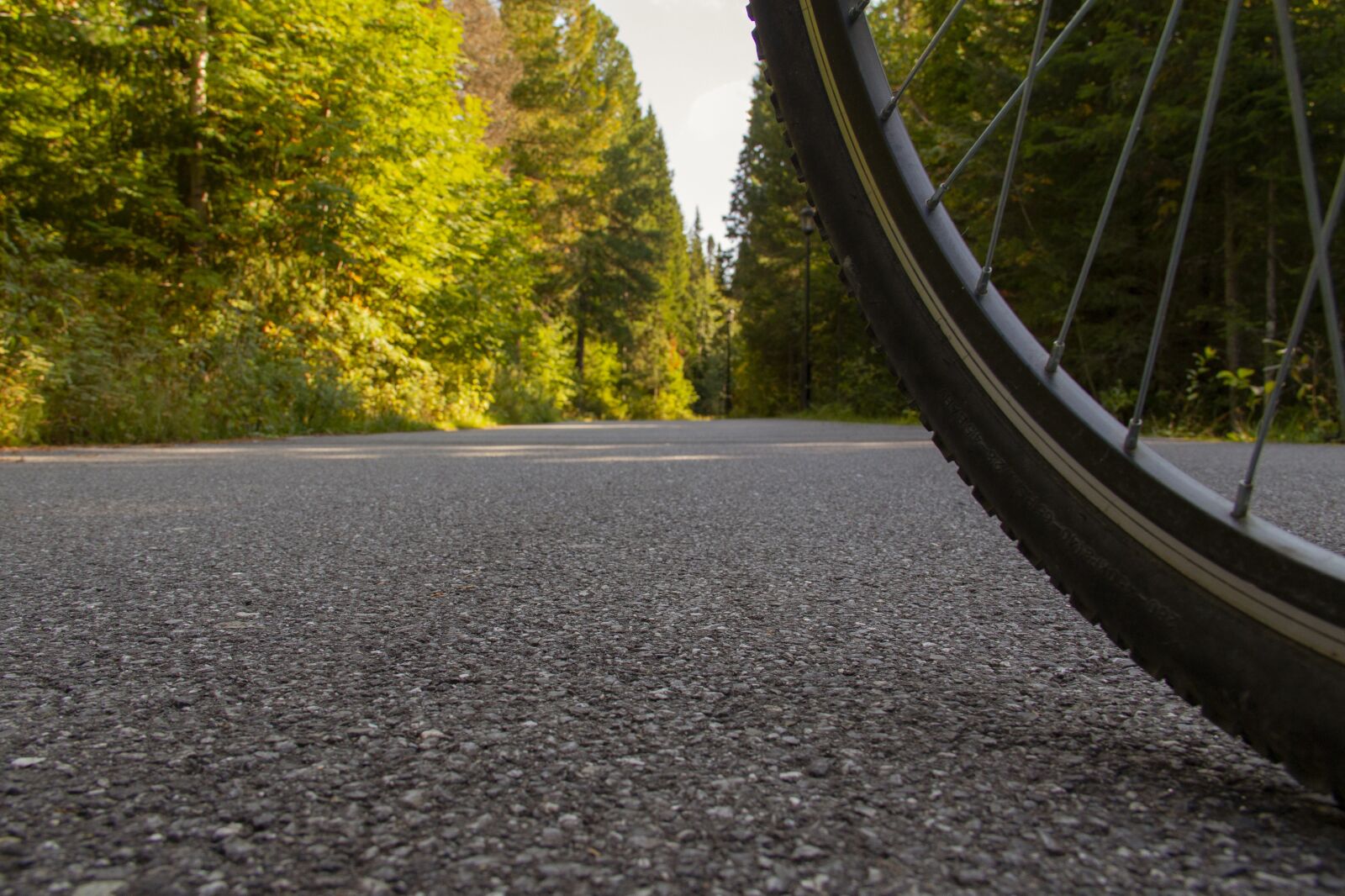 Canon EOS 70D + Canon EF-S 18-135mm F3.5-5.6 IS sample photo. Asphalt, wheel, bike photography