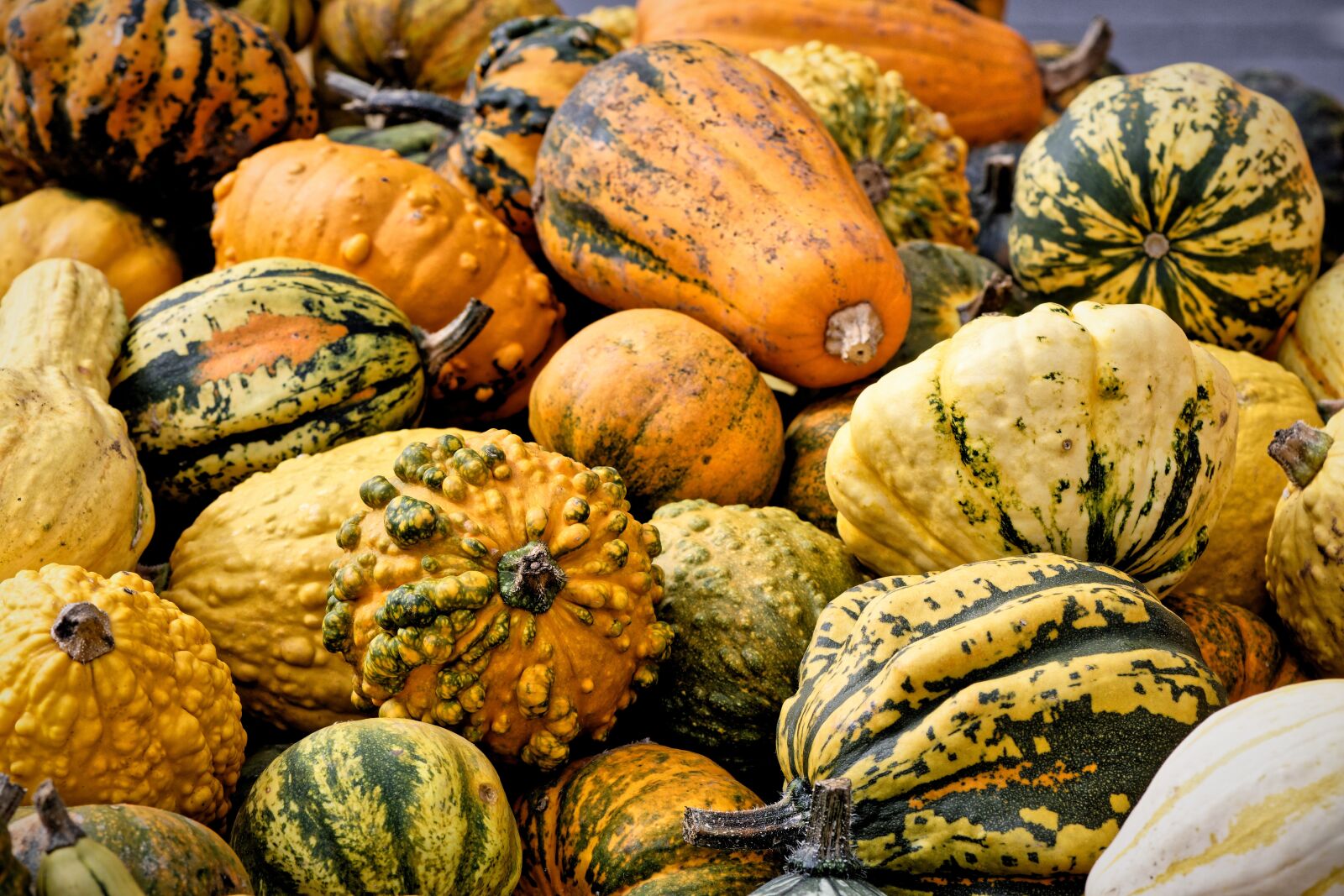 Nikon D7200 sample photo. Pumpkins, autumn, decoration photography
