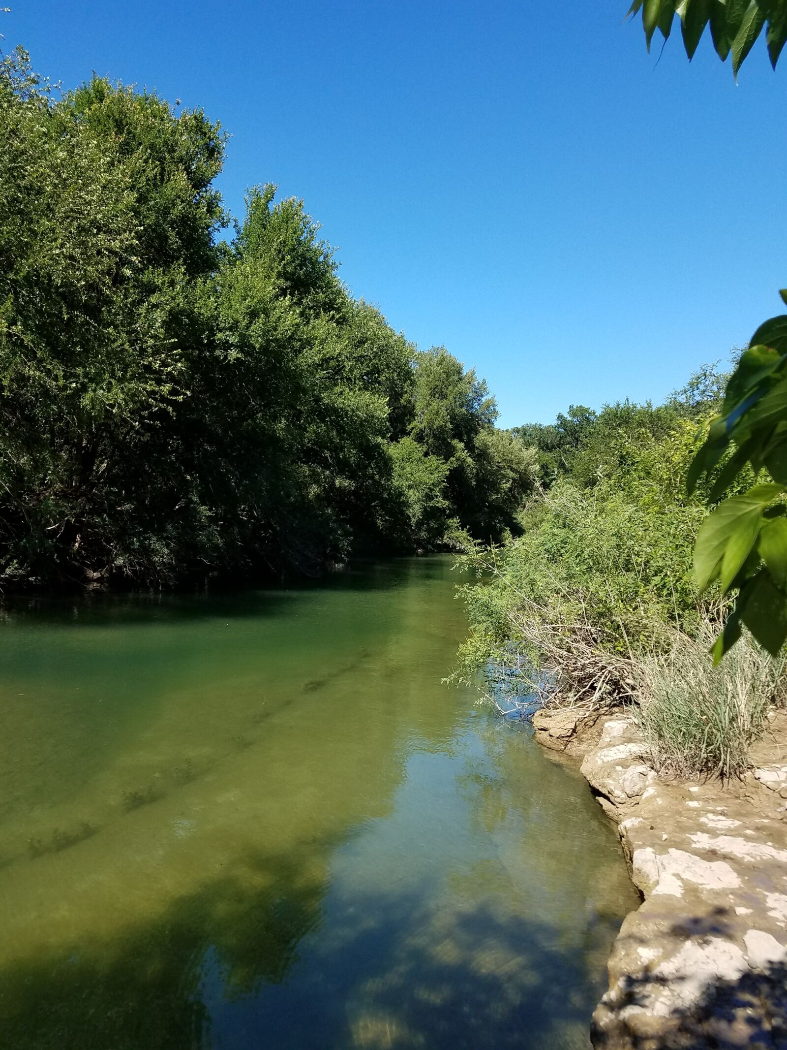 Samsung Galaxy S7 Edge sample photo. River, shore, water photography