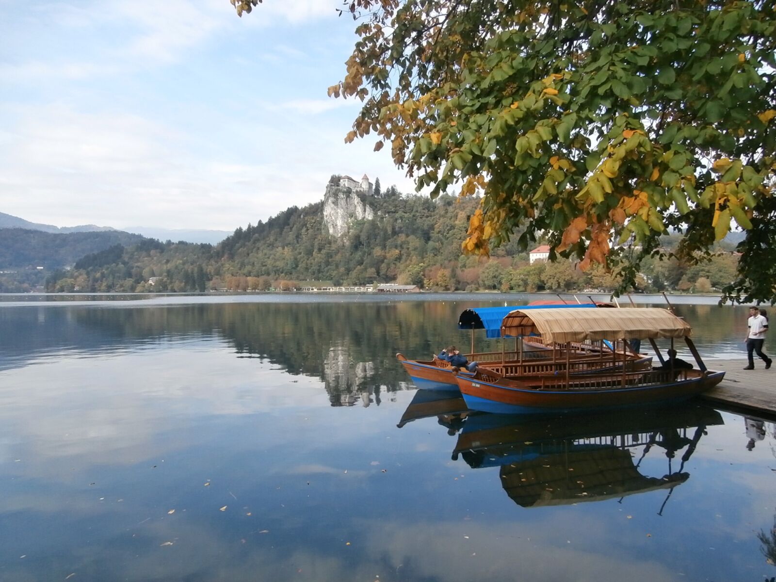 Olympus VR350,D755 sample photo. Water, lake, tree photography