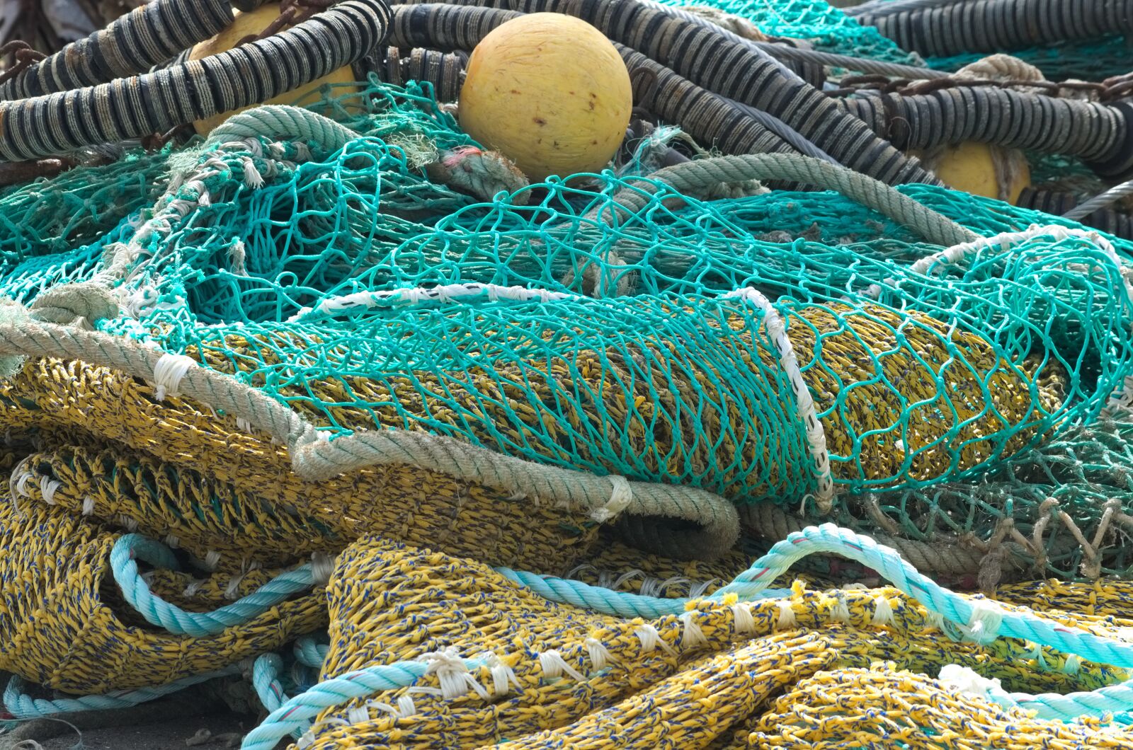 Nikon D5100 sample photo. Fishing nets, fish, meshes photography