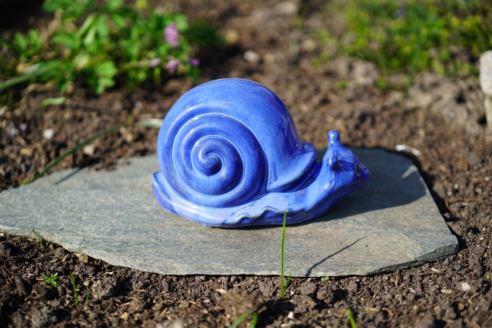 Sony Sonnar T* FE 55mm F1.8 ZA sample photo. Snail, blue, decorative screw photography