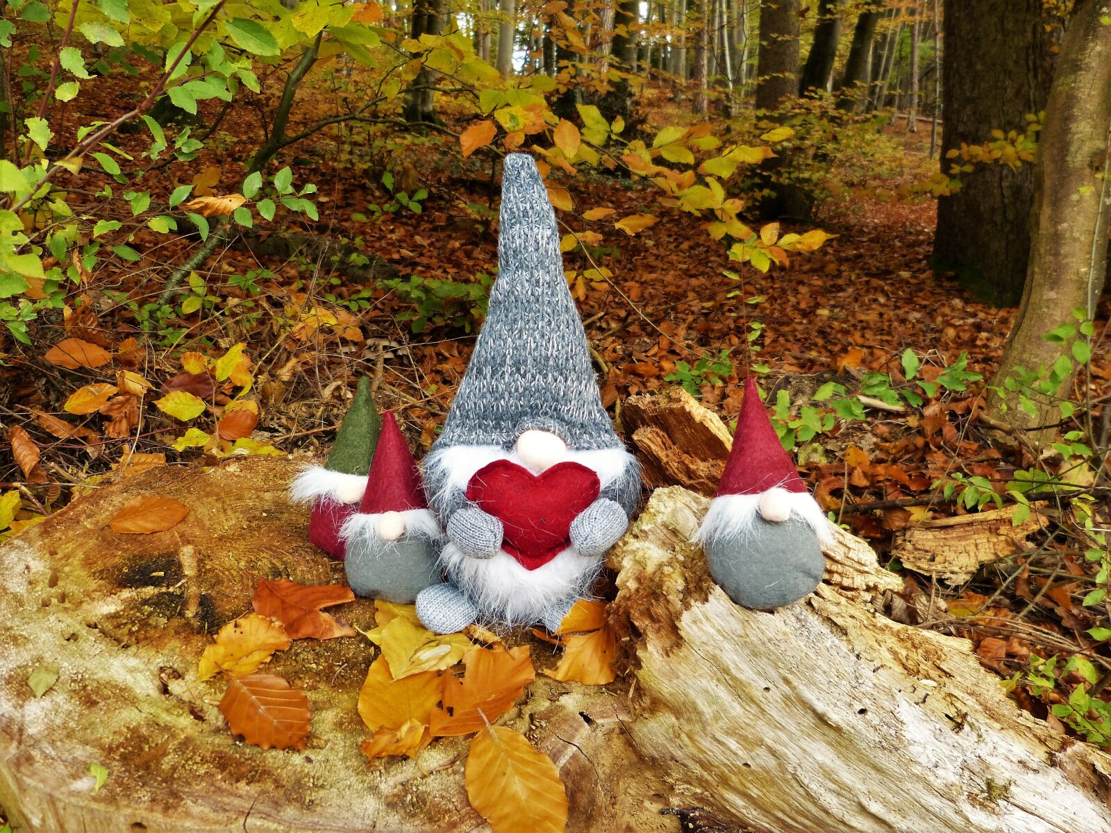Panasonic Lumix DMC-FZ150 sample photo. Dwarfs, gnome, forest photography
