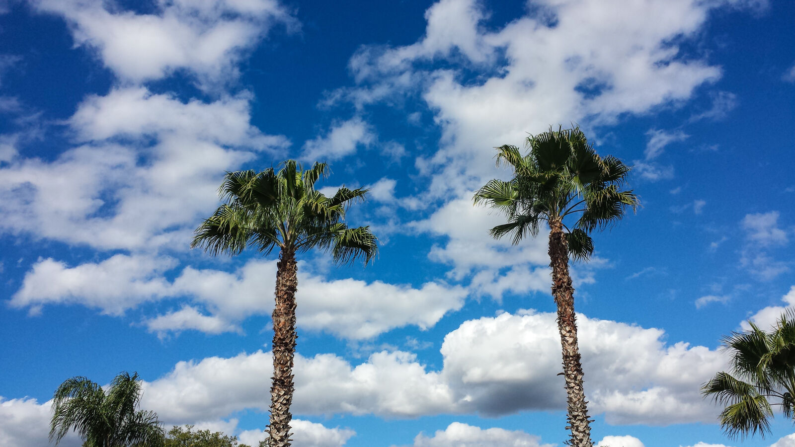 Samsung Galaxy S4 sample photo. Blue, skies, blue, sky photography
