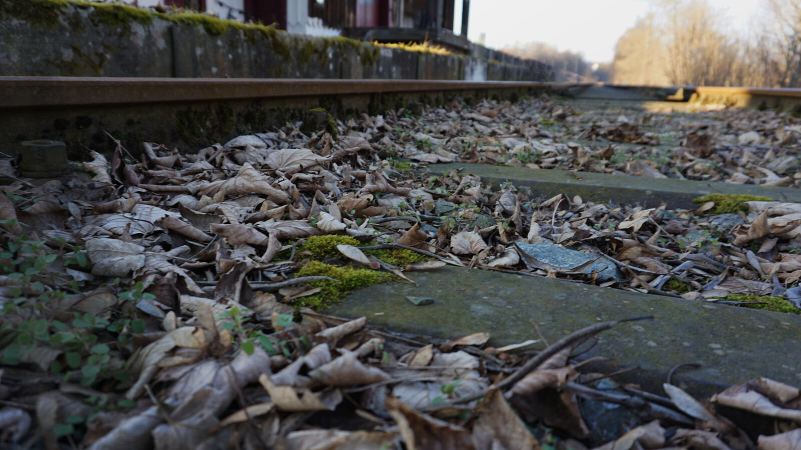 Sony E 16-50mm F3.5-5.6 PZ OSS sample photo. Foliage, leaves, railroads photography