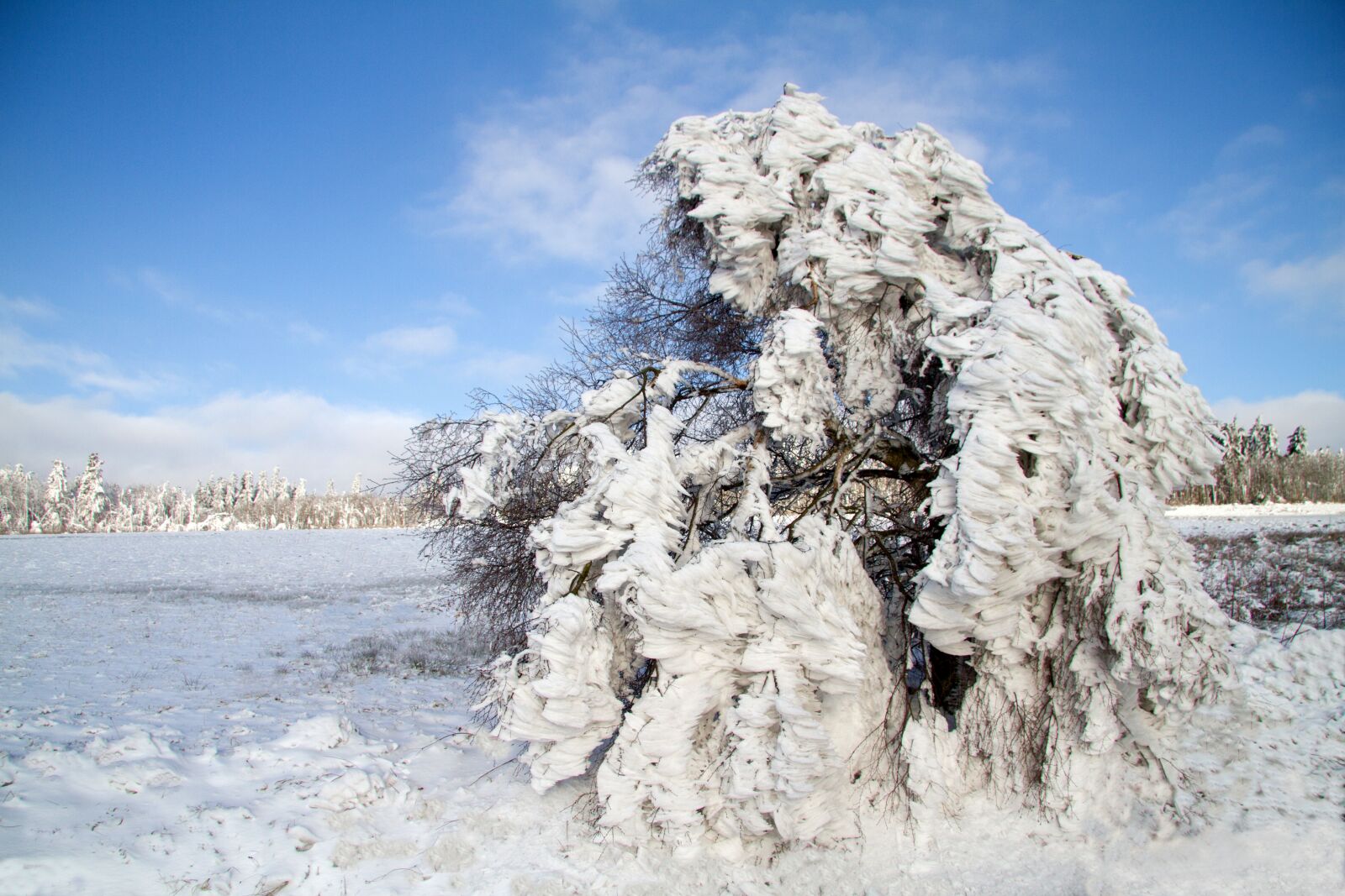 Canon EOS 7D sample photo. Winter, snow, wintry photography
