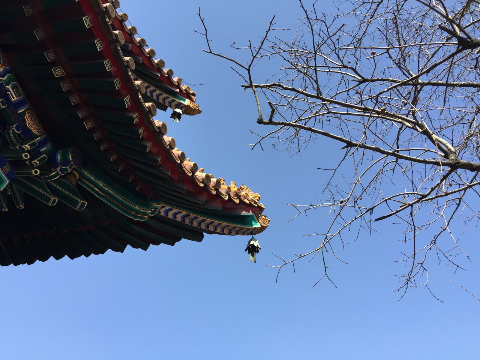 iPhone 6 Plus back camera 4.15mm f/2.2 sample photo. Yong, and, palace photography