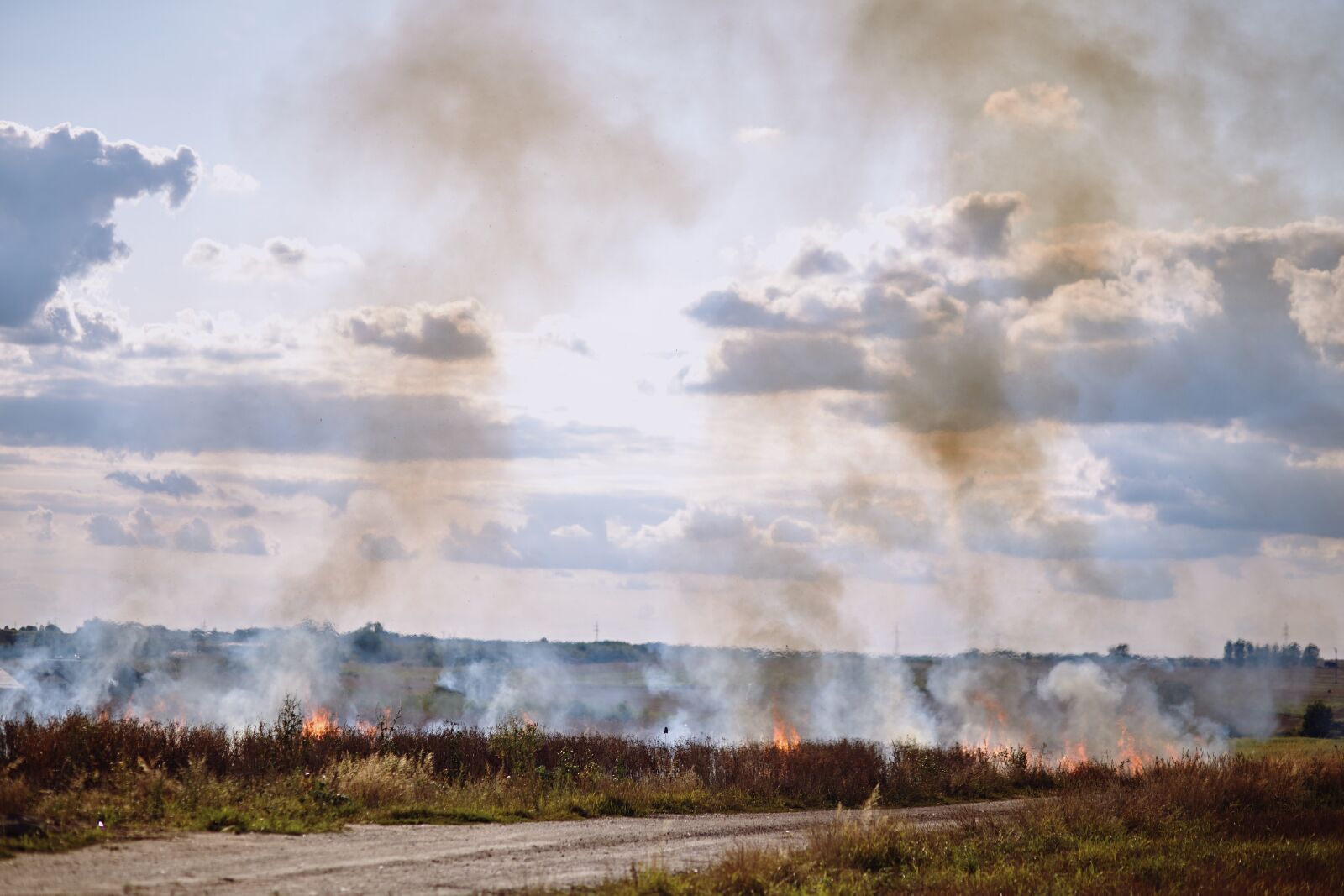 Canon EF 85mm F1.8 USM sample photo. Fire, field, anxiety photography
