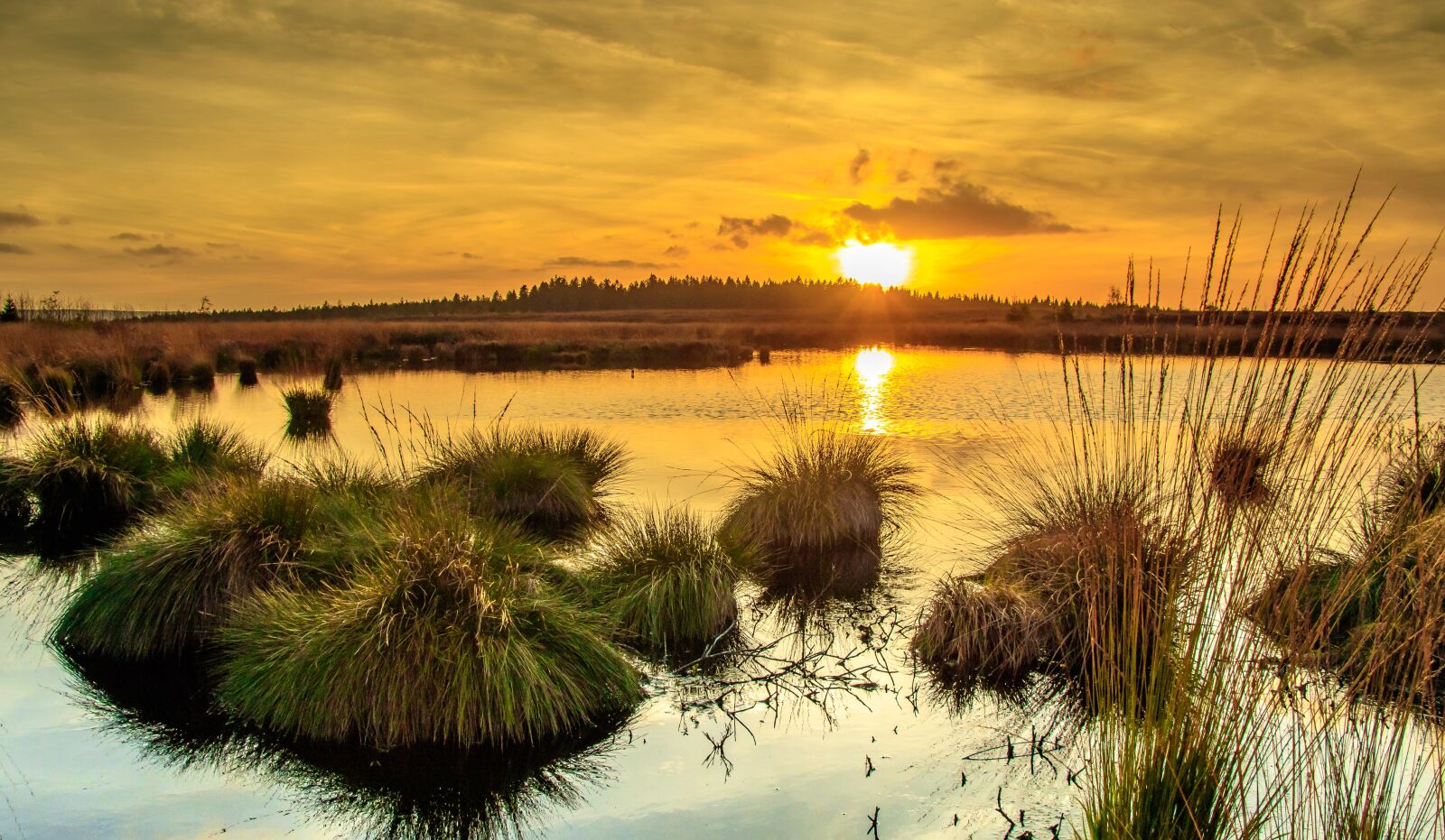 Canon EOS 80D sample photo. Sunset, moor, venn photography