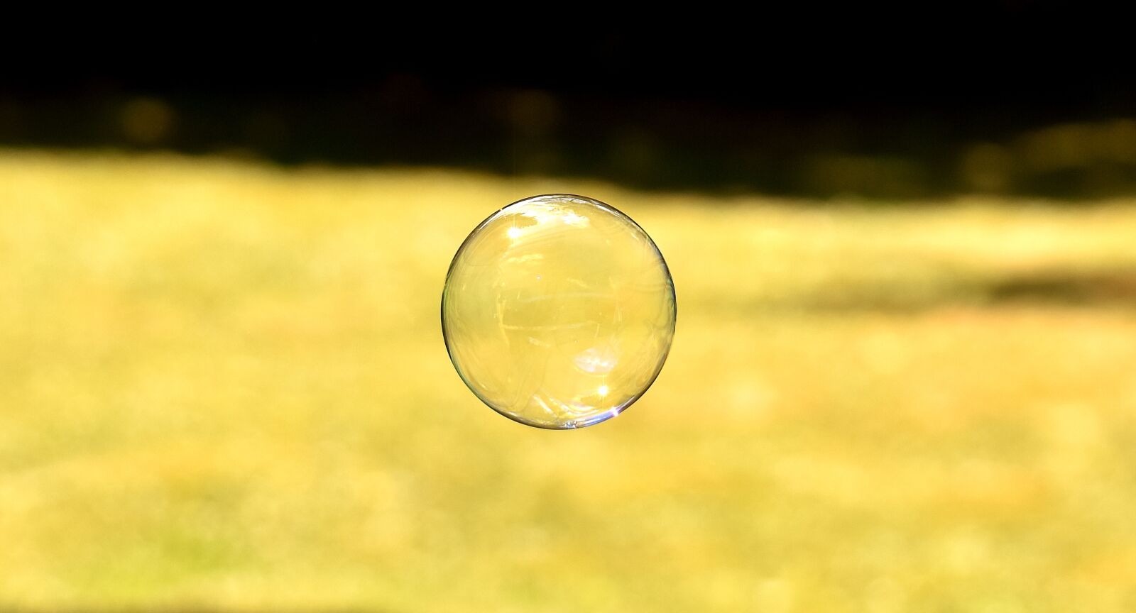 Nikon D7200 sample photo. Soap bubble, make soap photography