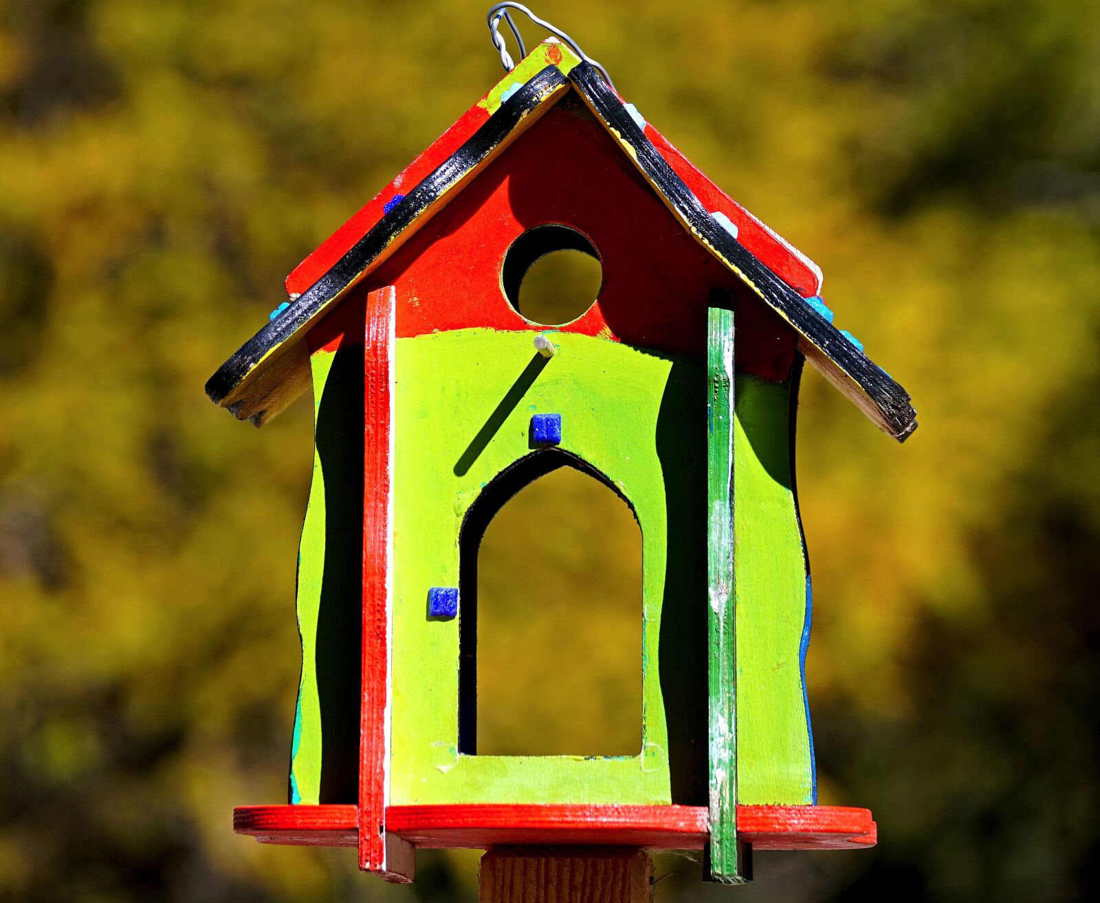 Sony DT 55-300mm F4.5-5.6 SAM sample photo. Bird feeder, colorful, feeding photography