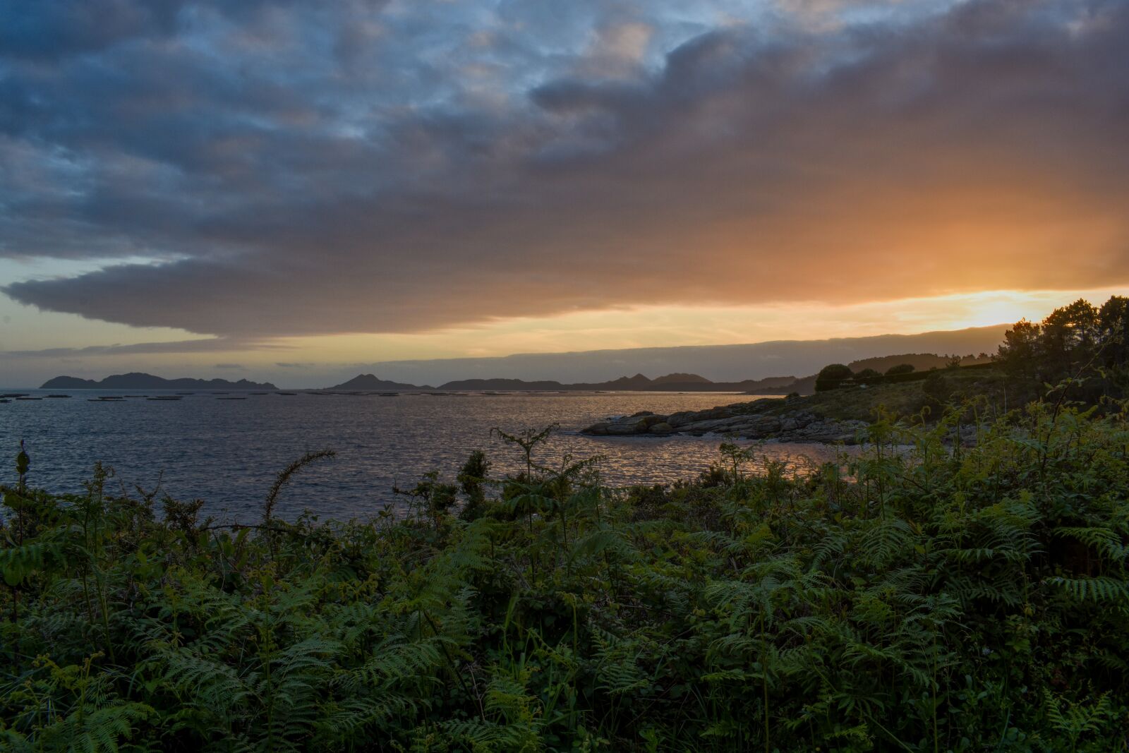 Nikon D3400 sample photo. Sunset, clouds, nature photography