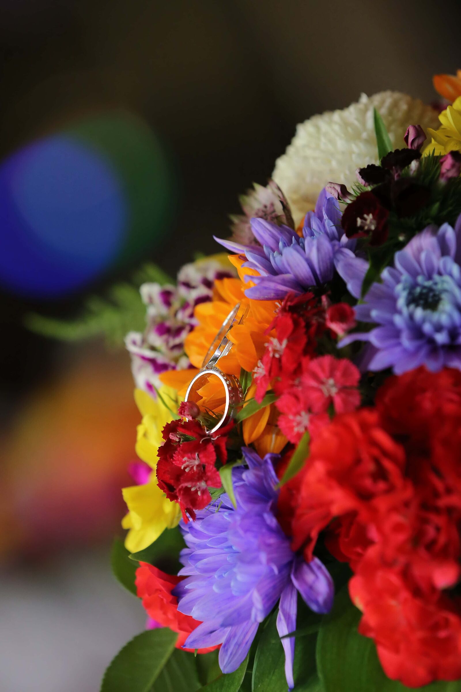 Canon EOS 6D sample photo. Rings, platinum, wedding ring photography