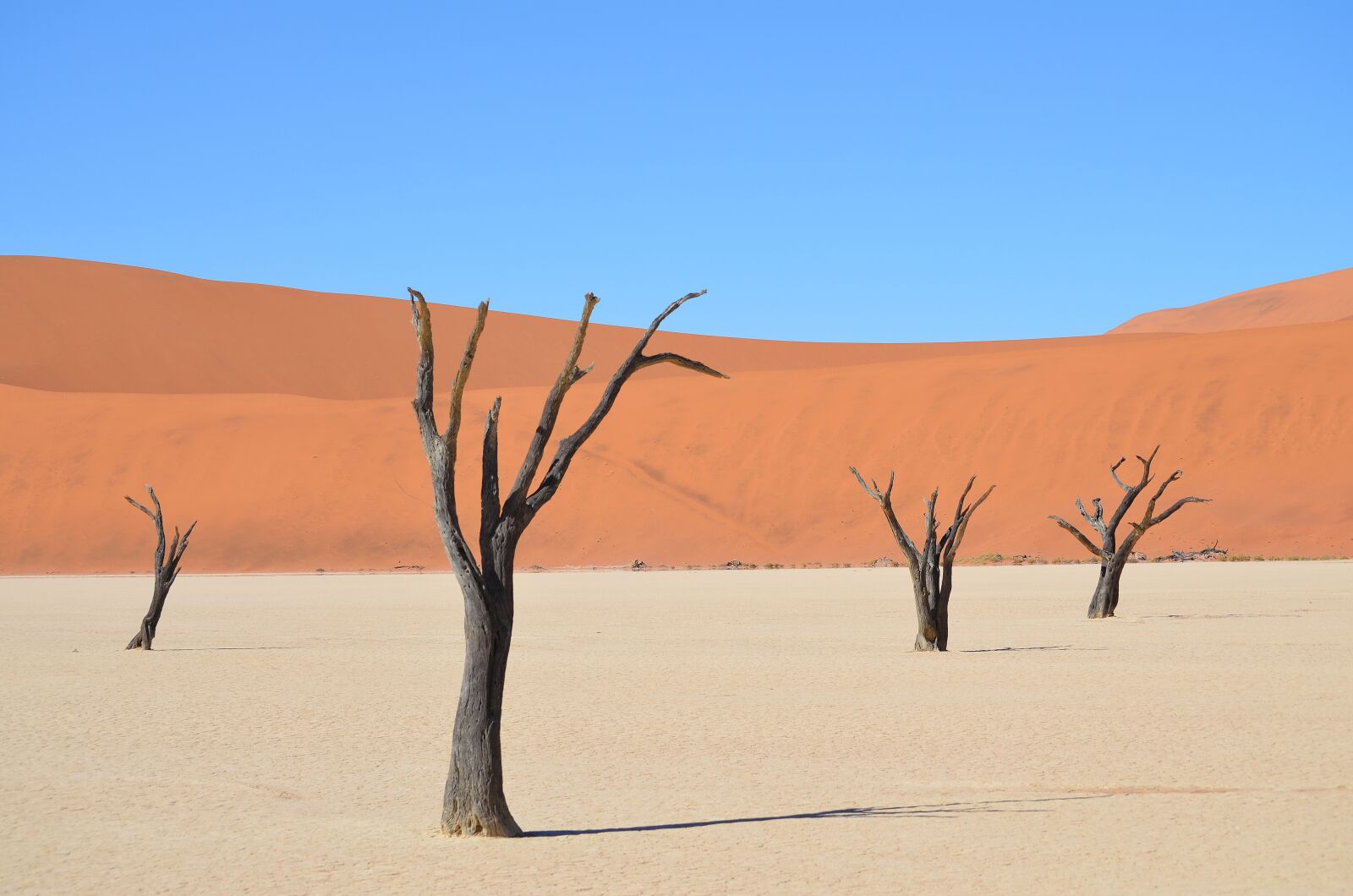 Nikon D5100 sample photo. Sossusvlei, africa, namibia photography