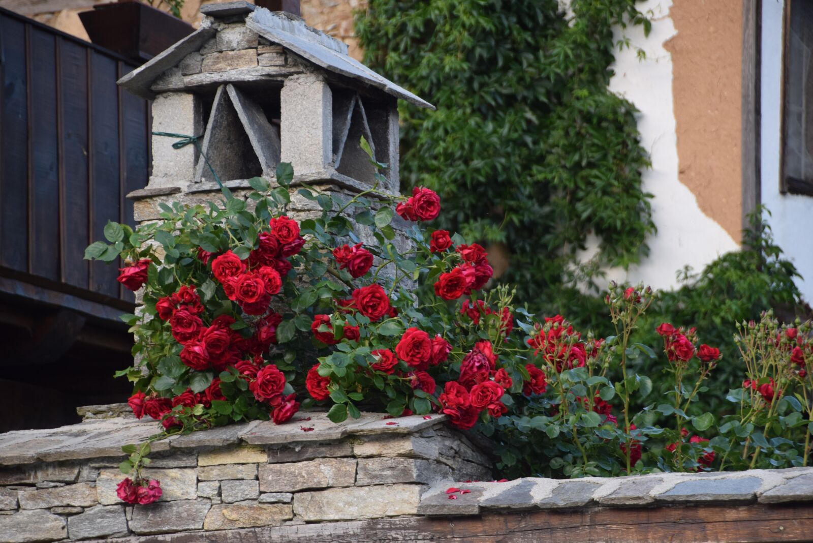 Nikon D5300 sample photo. Roses, roof, village photography