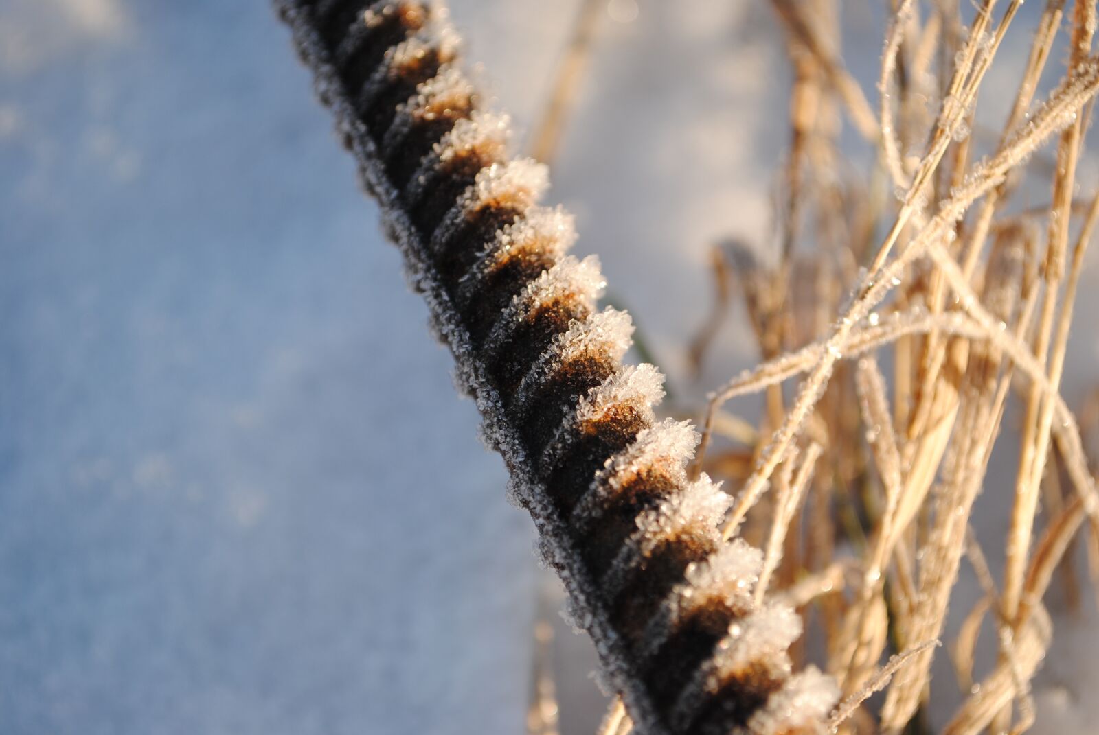 Nikon D3000 sample photo. Ice, snow, nature photography
