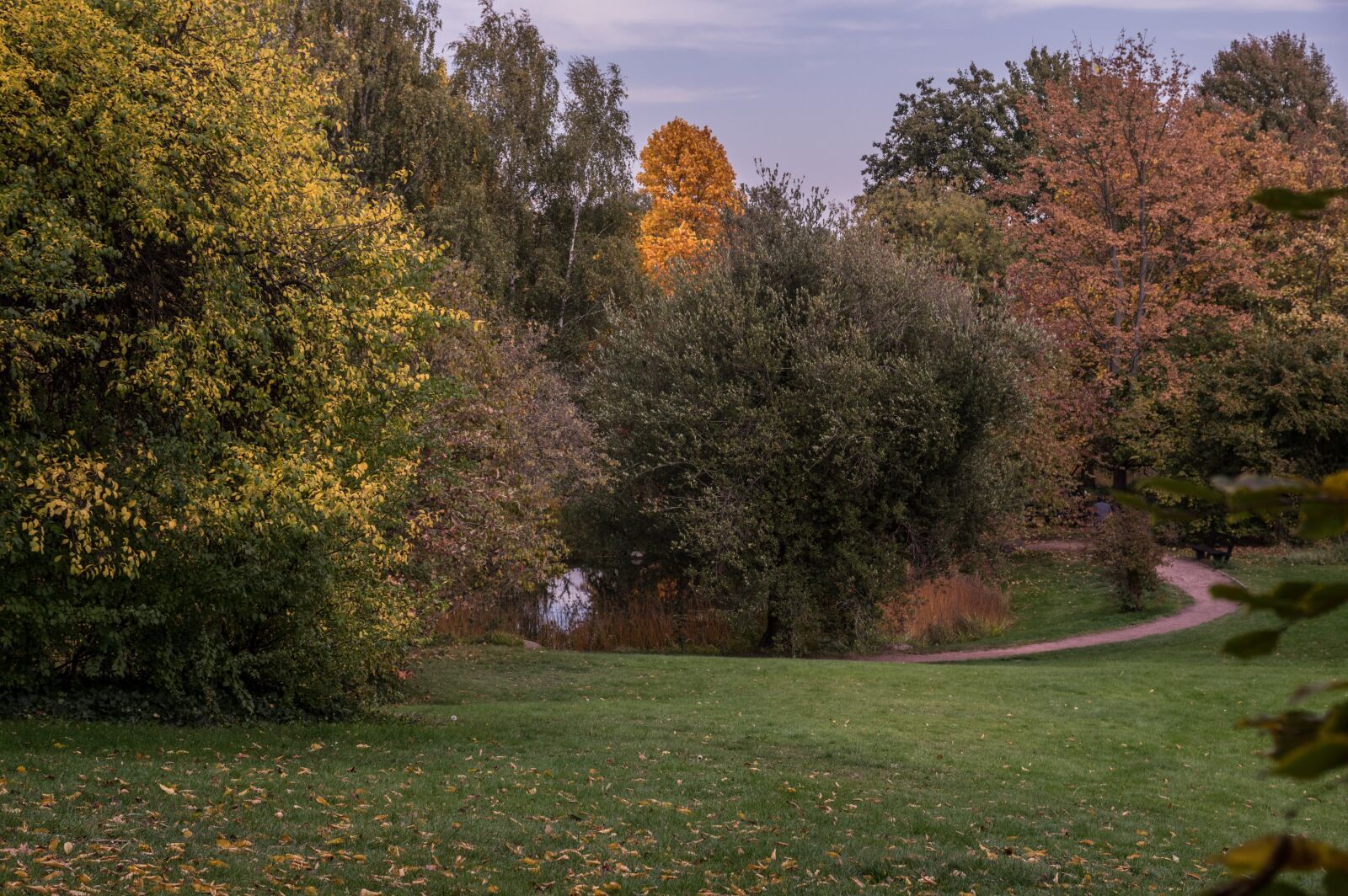 Pentax K-3 sample photo. Garden, trees, nature photography